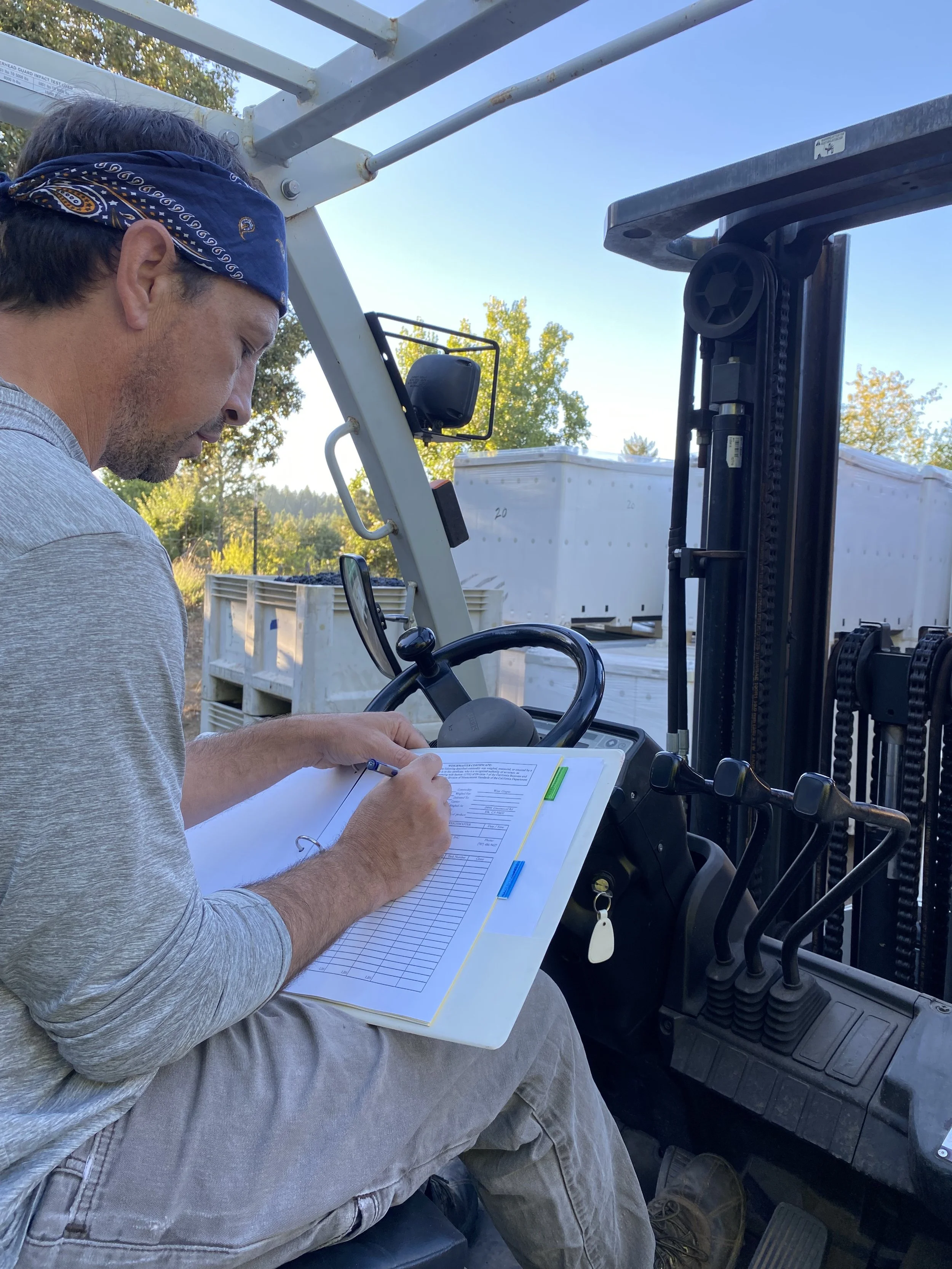 Phillip recording weight of grapes