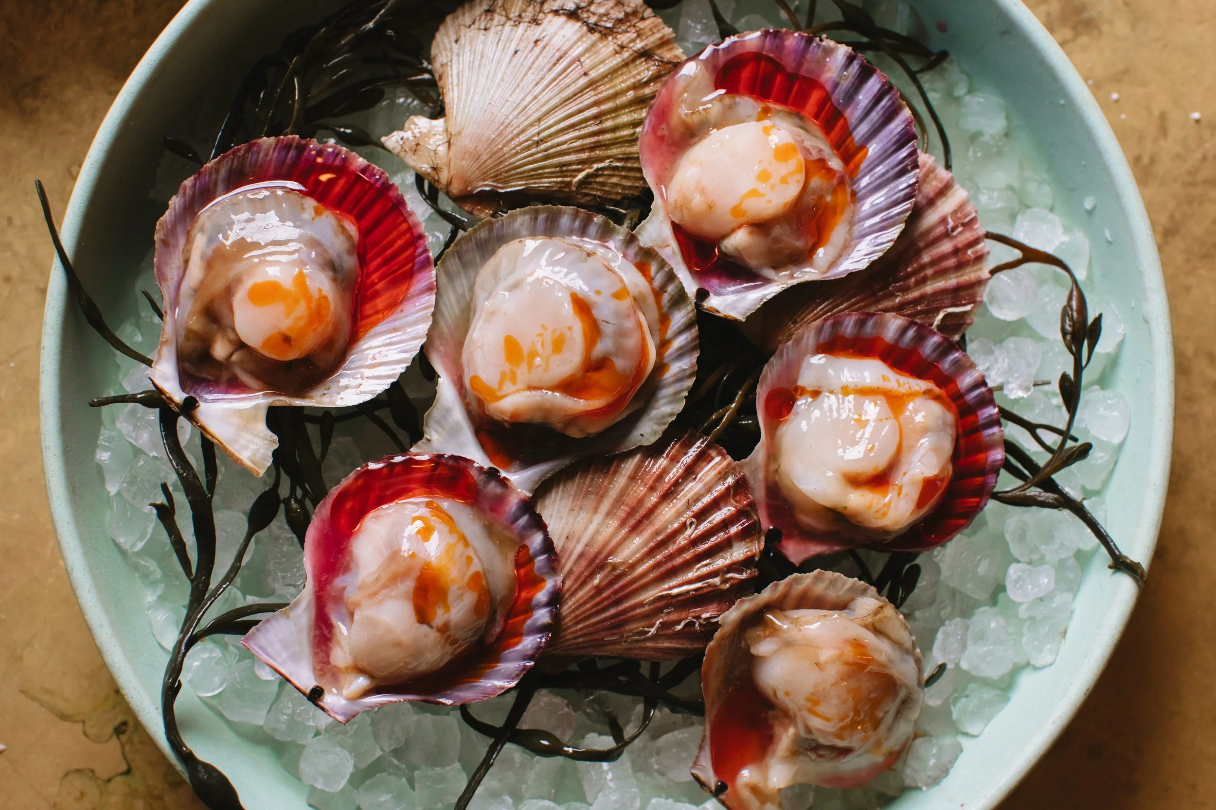 Raw Pink Scallops on a Platter of Ice
