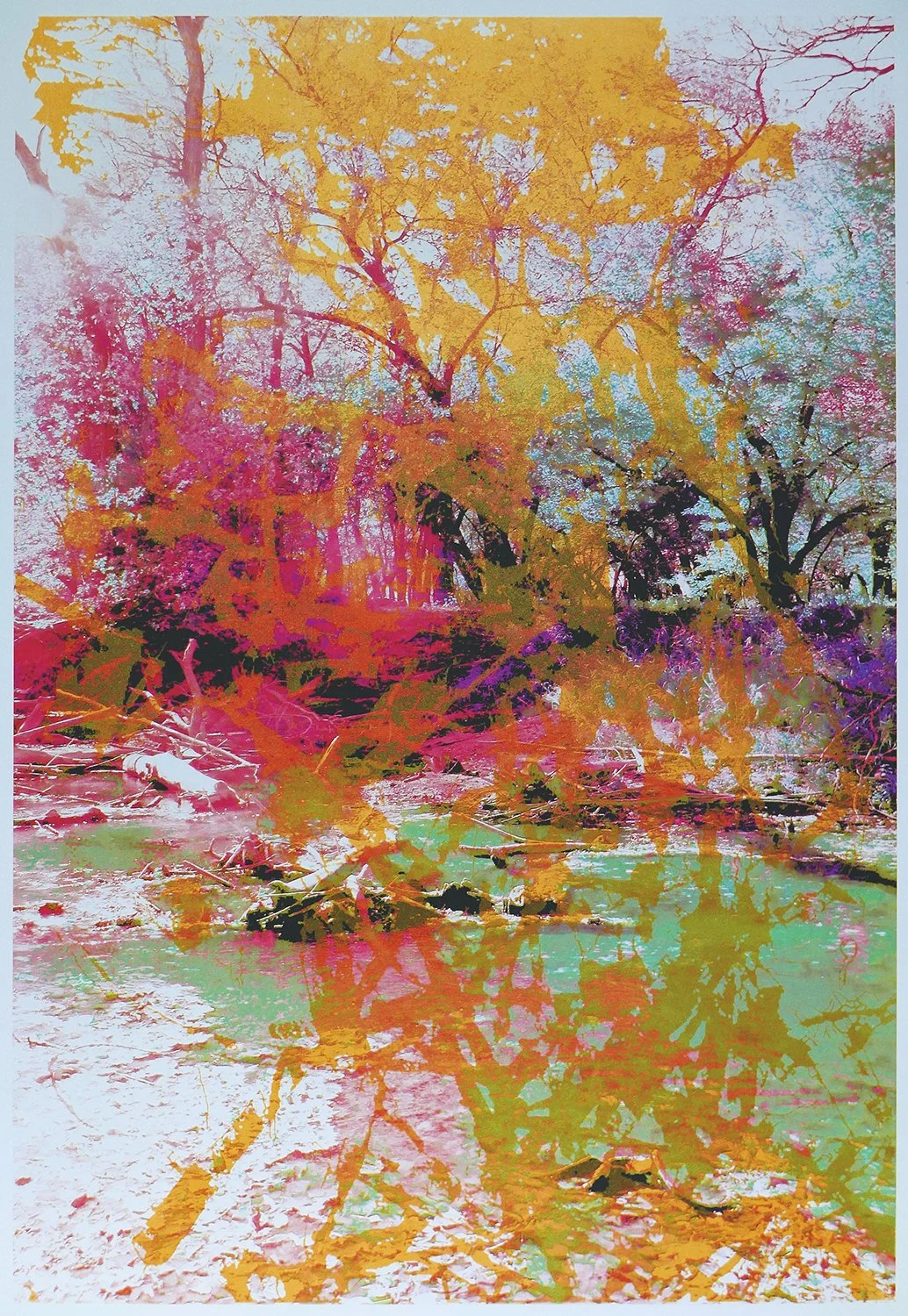 Anne Rynearson "Landescapism" ed. 3 - 2017, hybrid screen print, 23”x35”