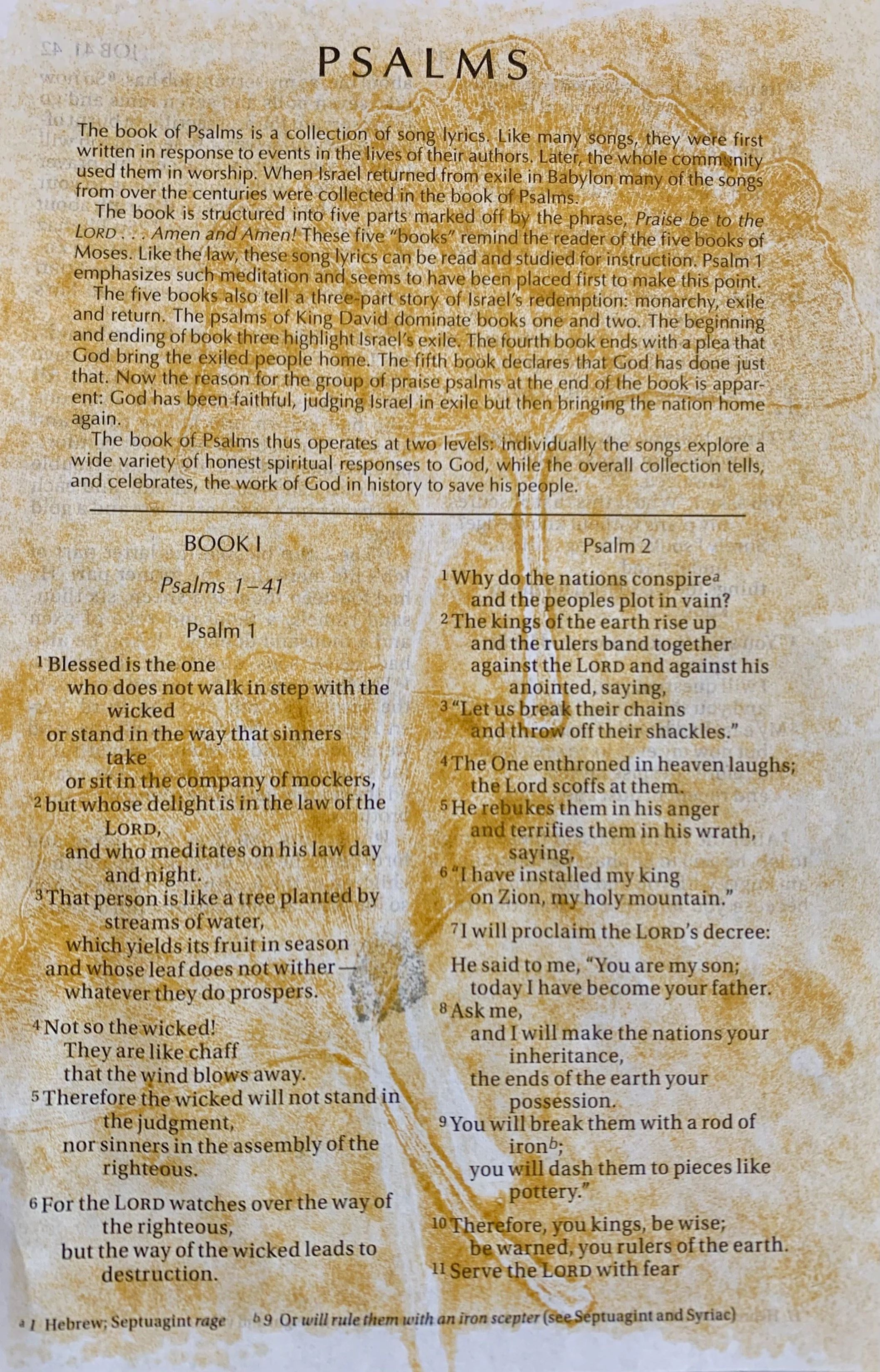 Erin Williams "Psalms" - 2021, Monoprint on paper (copy), 4"x6" -- $35