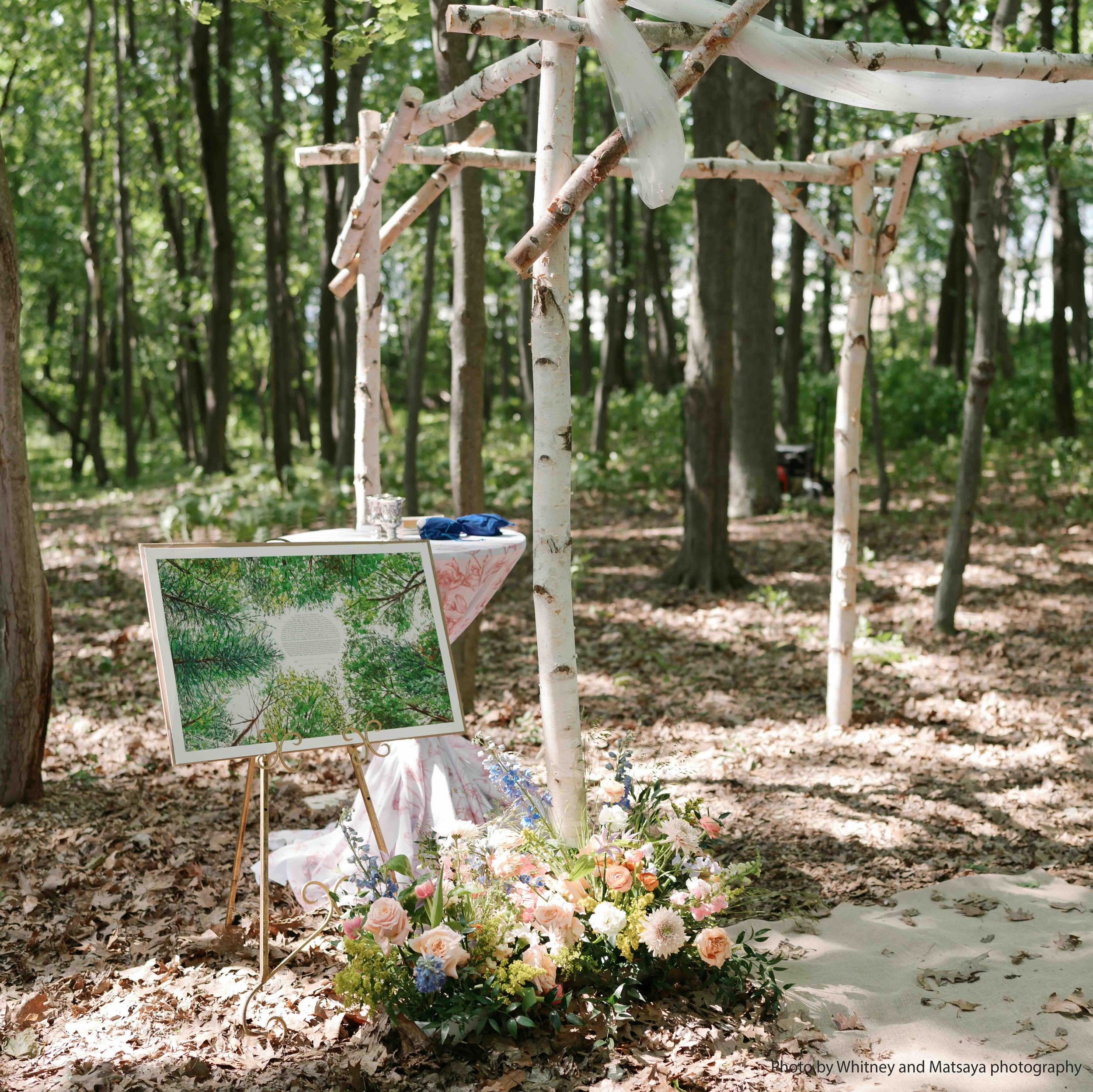 Forest-Canopy-Looking-Up-Ketubah-Windthrow-photo-credit-8.jpeg