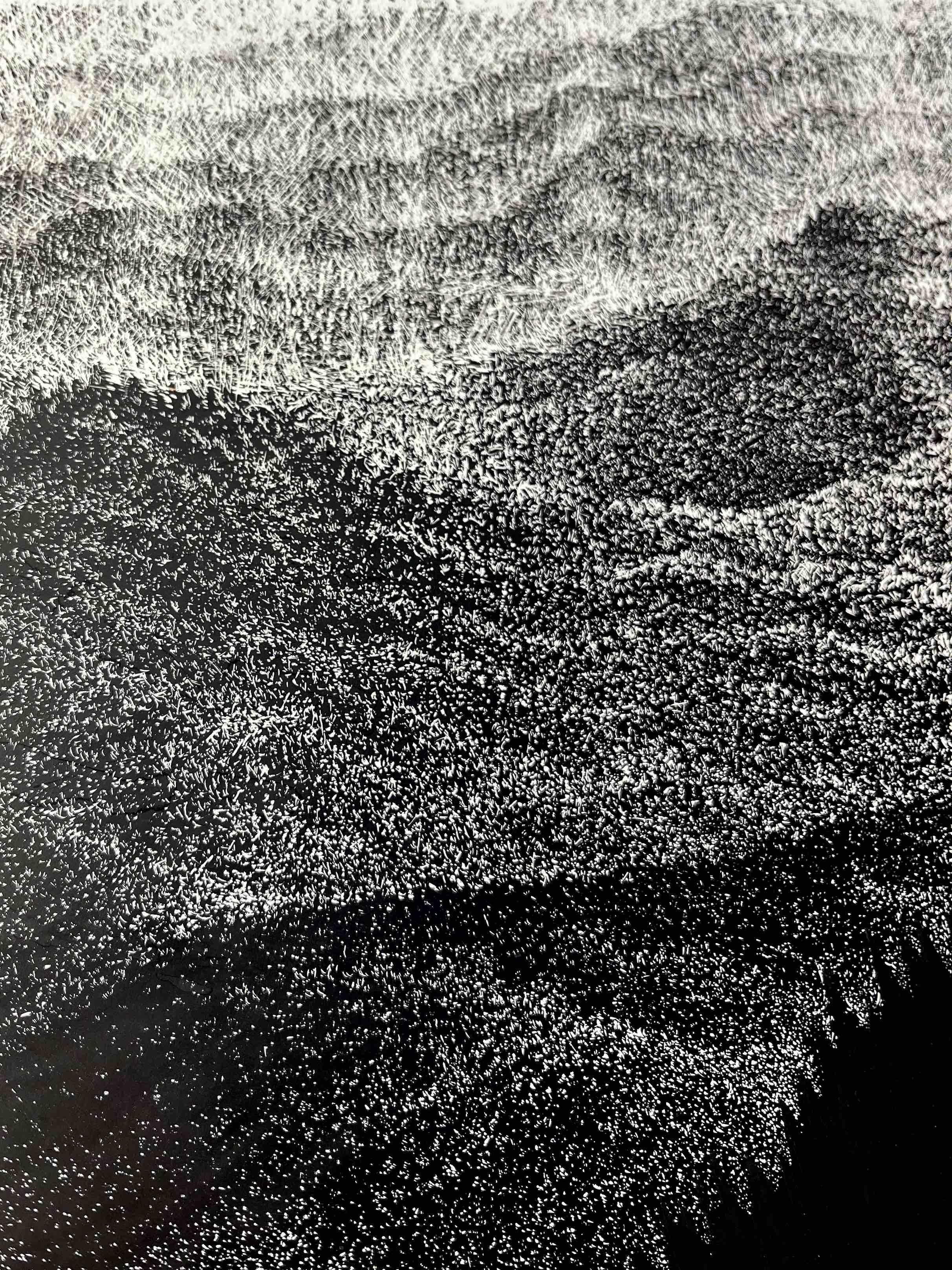 Blue Ridge Mountains in Black & White Original Artwork Scratchboard Etching Close Up 3.jpg