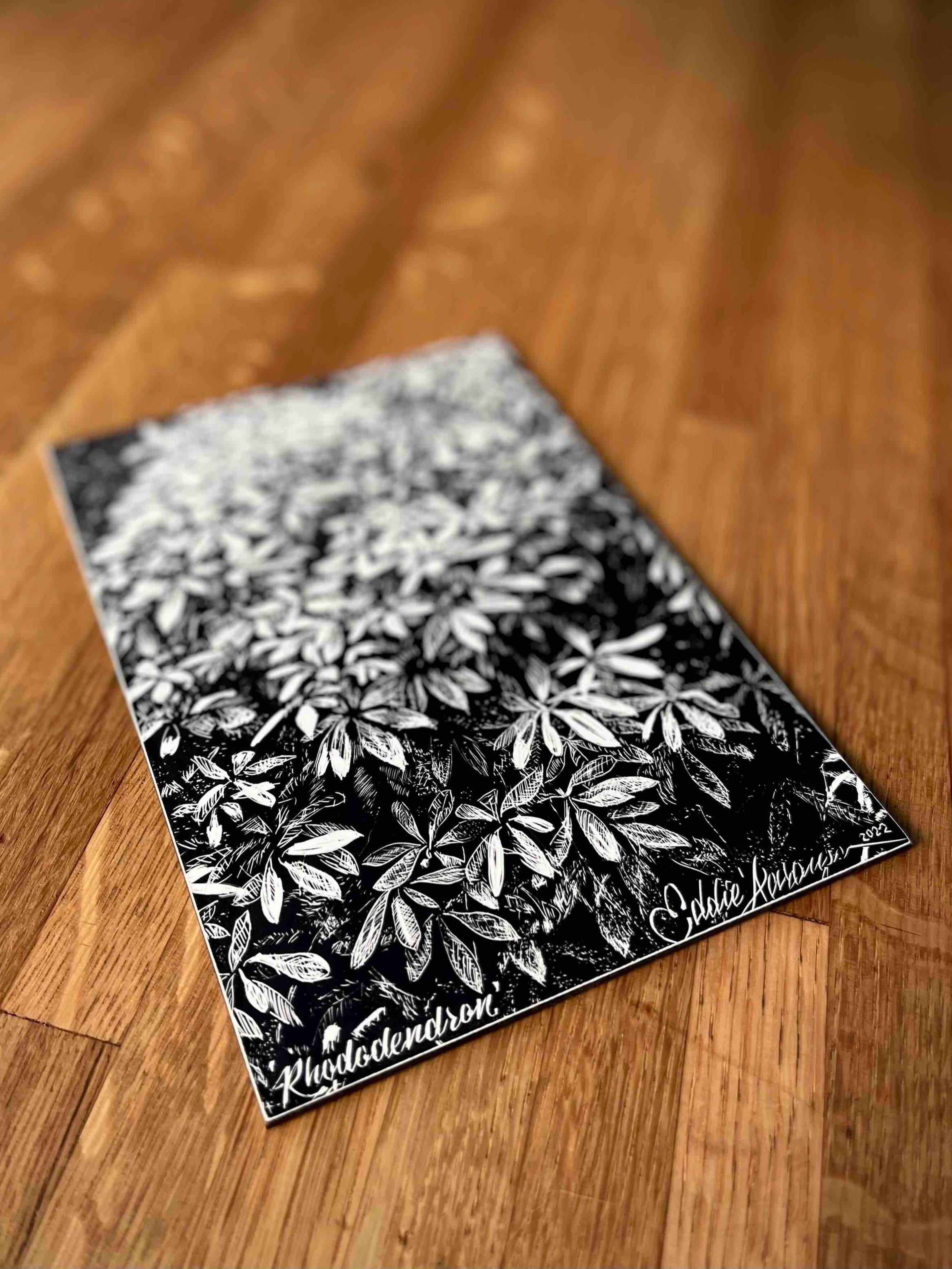 Rhododendron+North+Carolina+Forest+Black+%26+White+Original+Artwork+Scratchboard+Etching+2.jpg