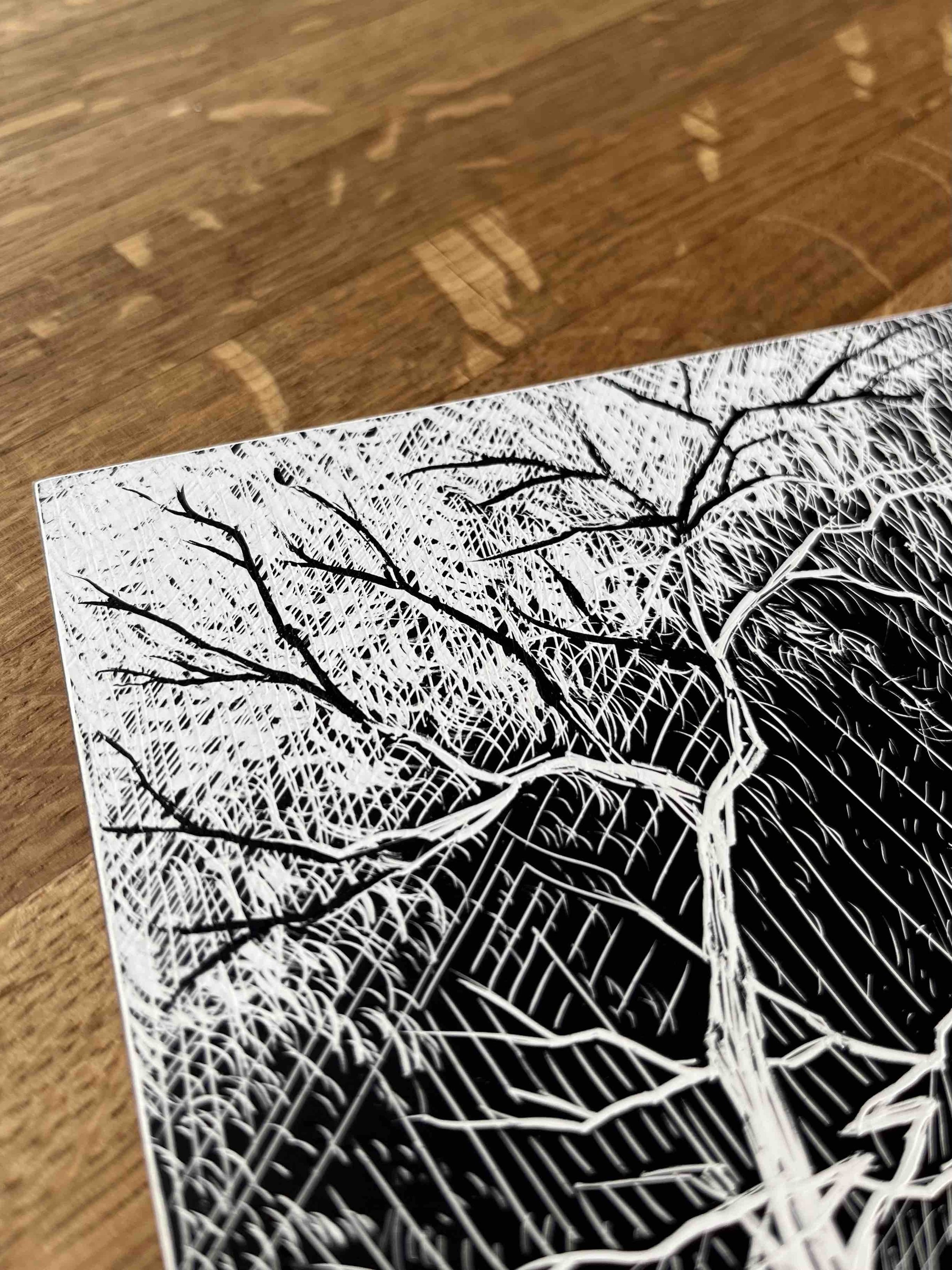 Sycamore Tree Abstract Black & White Original Artwork Scratchboard Etching Close Up.jpg