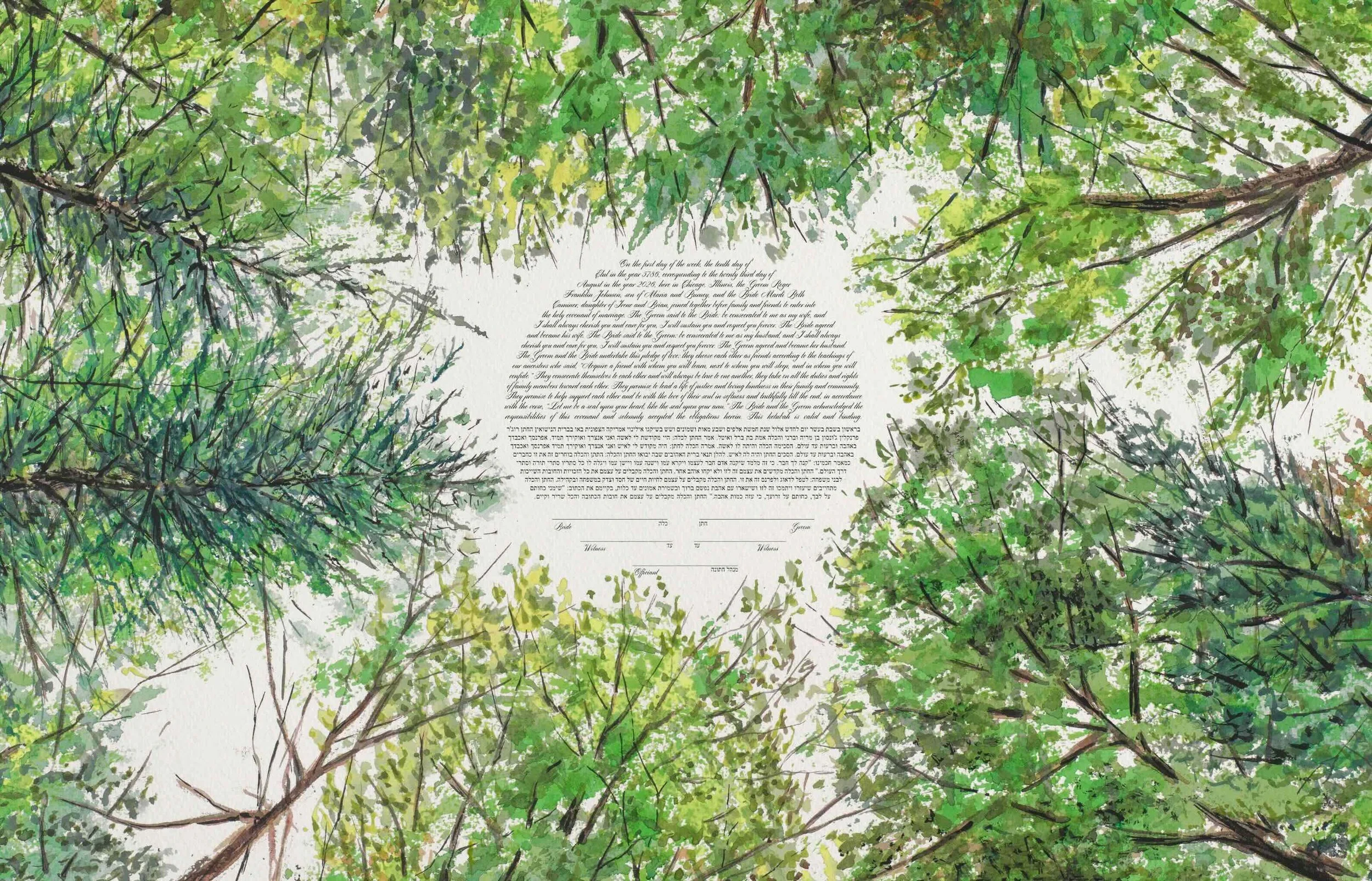 Summer Forest Canopy Looking Up Ketubah Windthrow 2.jpeg