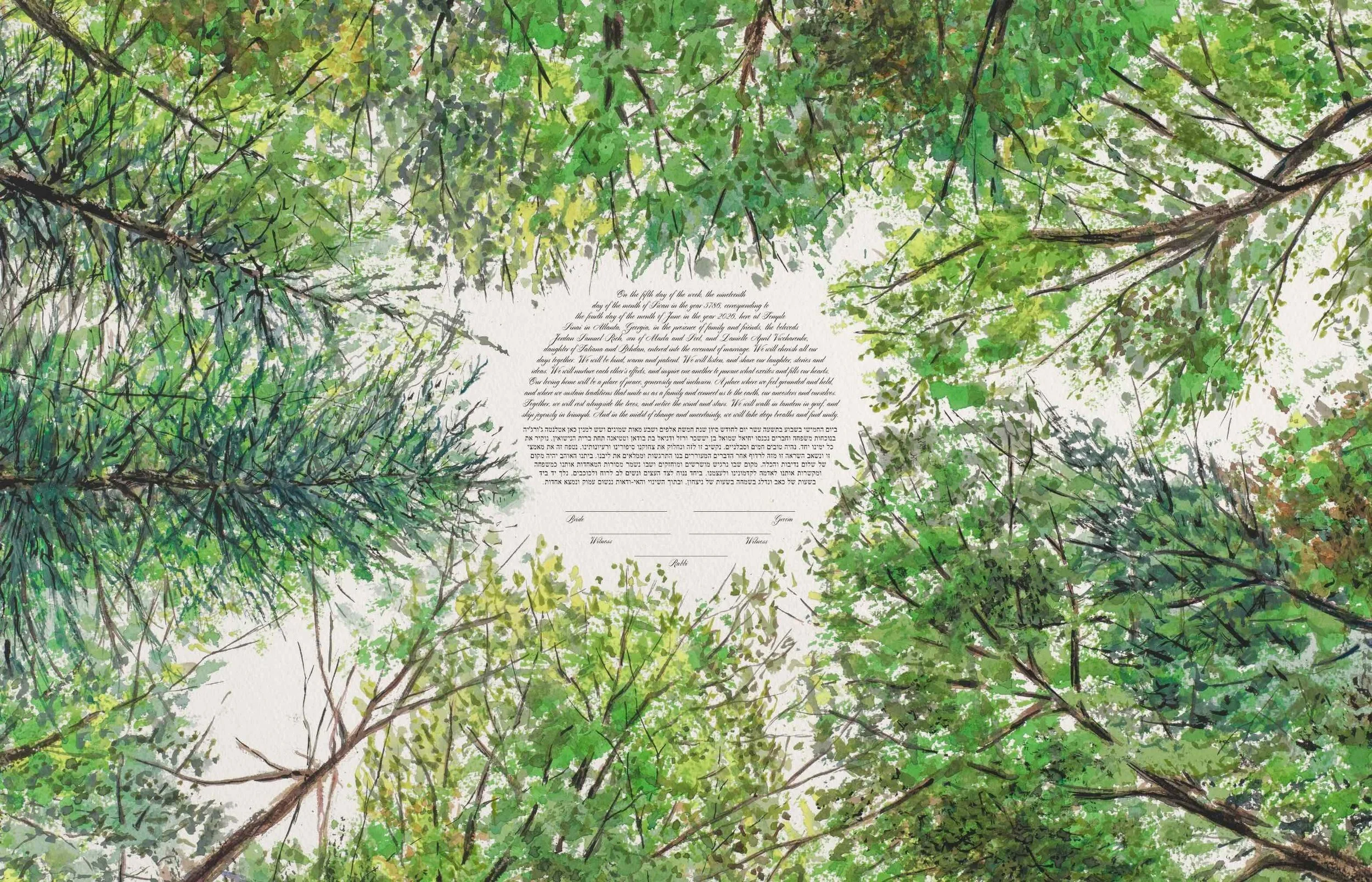 Summer Forest Canopy Looking Up Ketubah Windthrow 1.jpeg