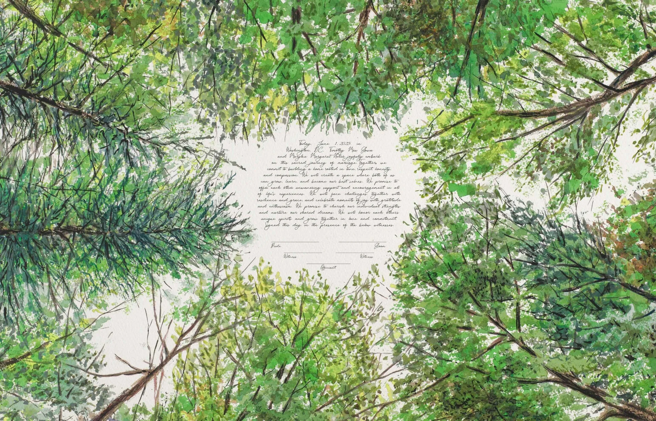 Summer Forest Canopy Looking Up Ketubah Windthrow 5.jpeg