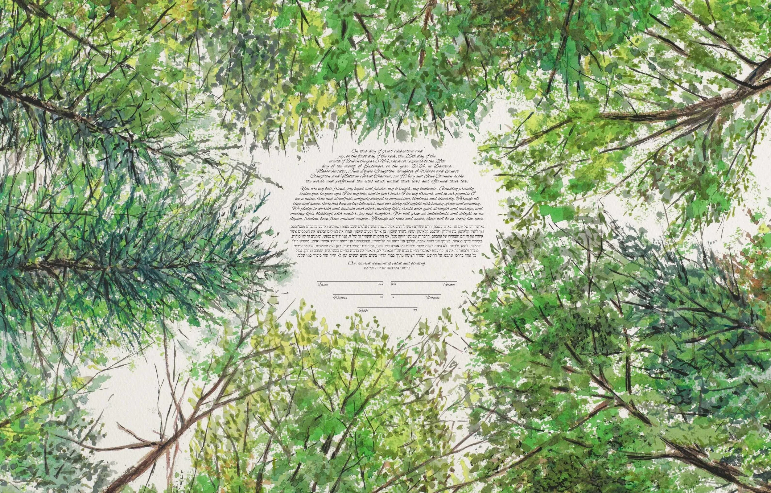 Summer Forest Canopy Looking Up Ketubah Windthrow 6.jpeg