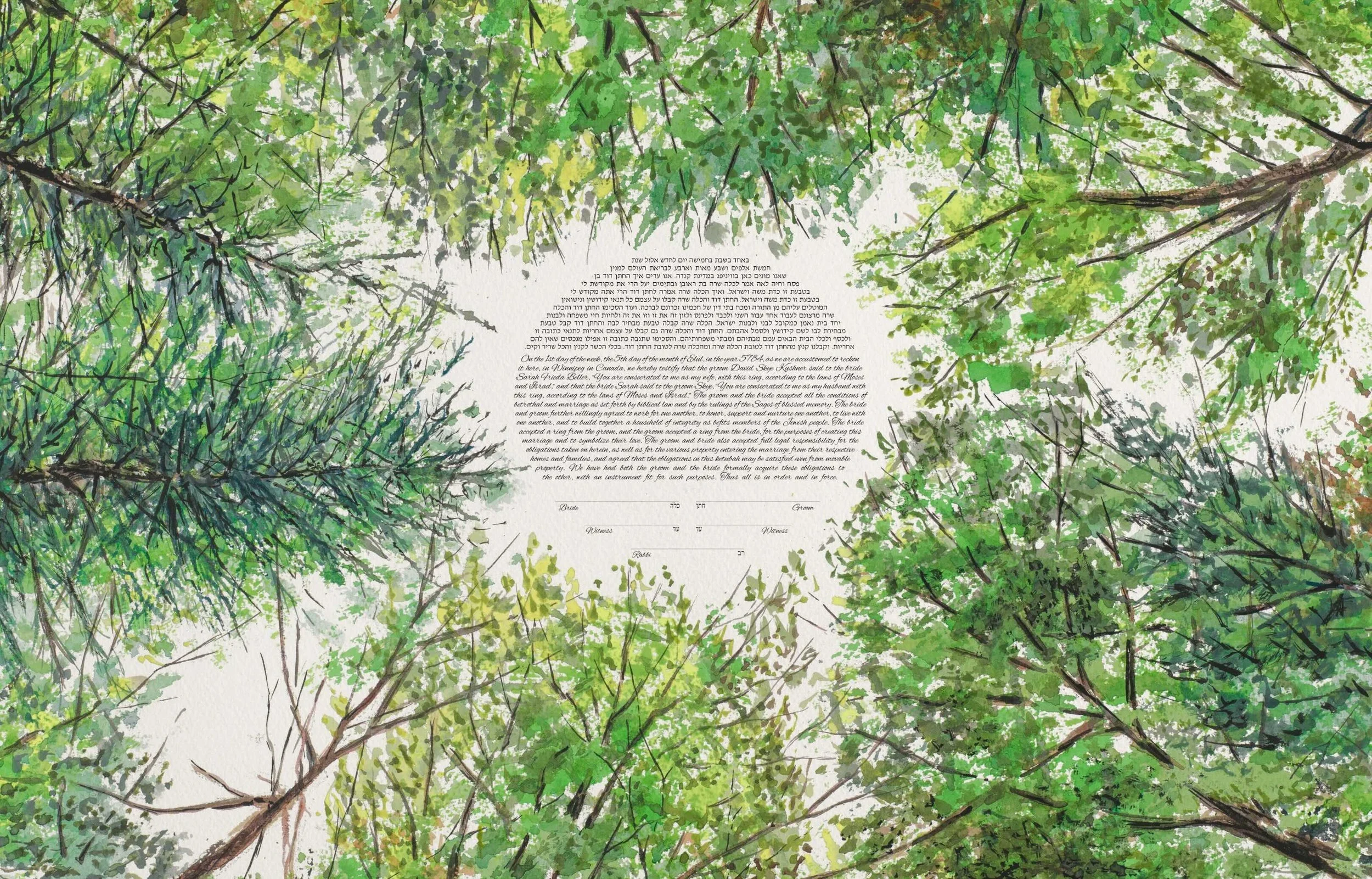 Summer Forest Canopy Looking Up Ketubah Windthrow 7.jpeg