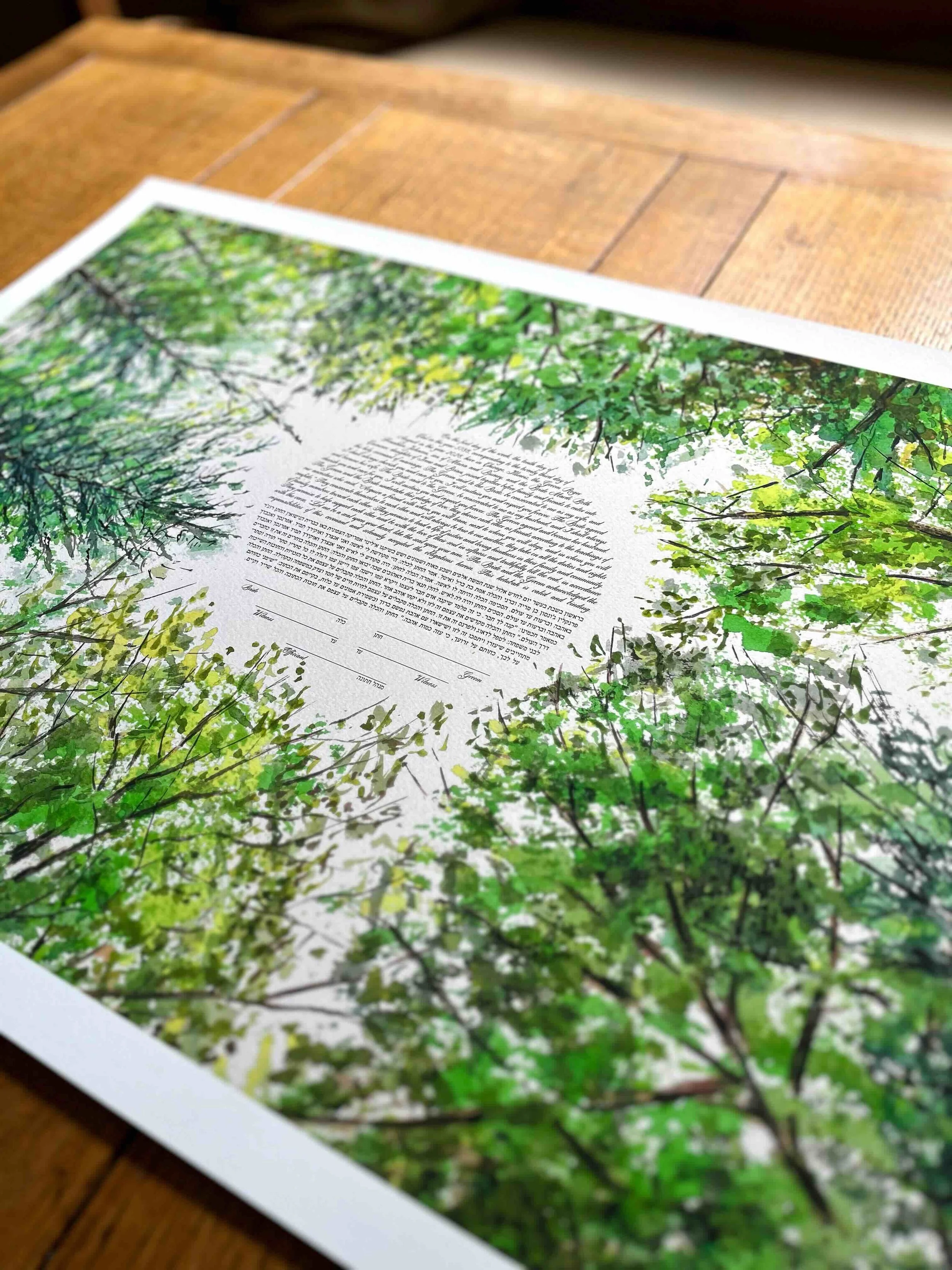 Forest-Canopy-Looking-Up-Ketubah-Windthrow-1.jpeg