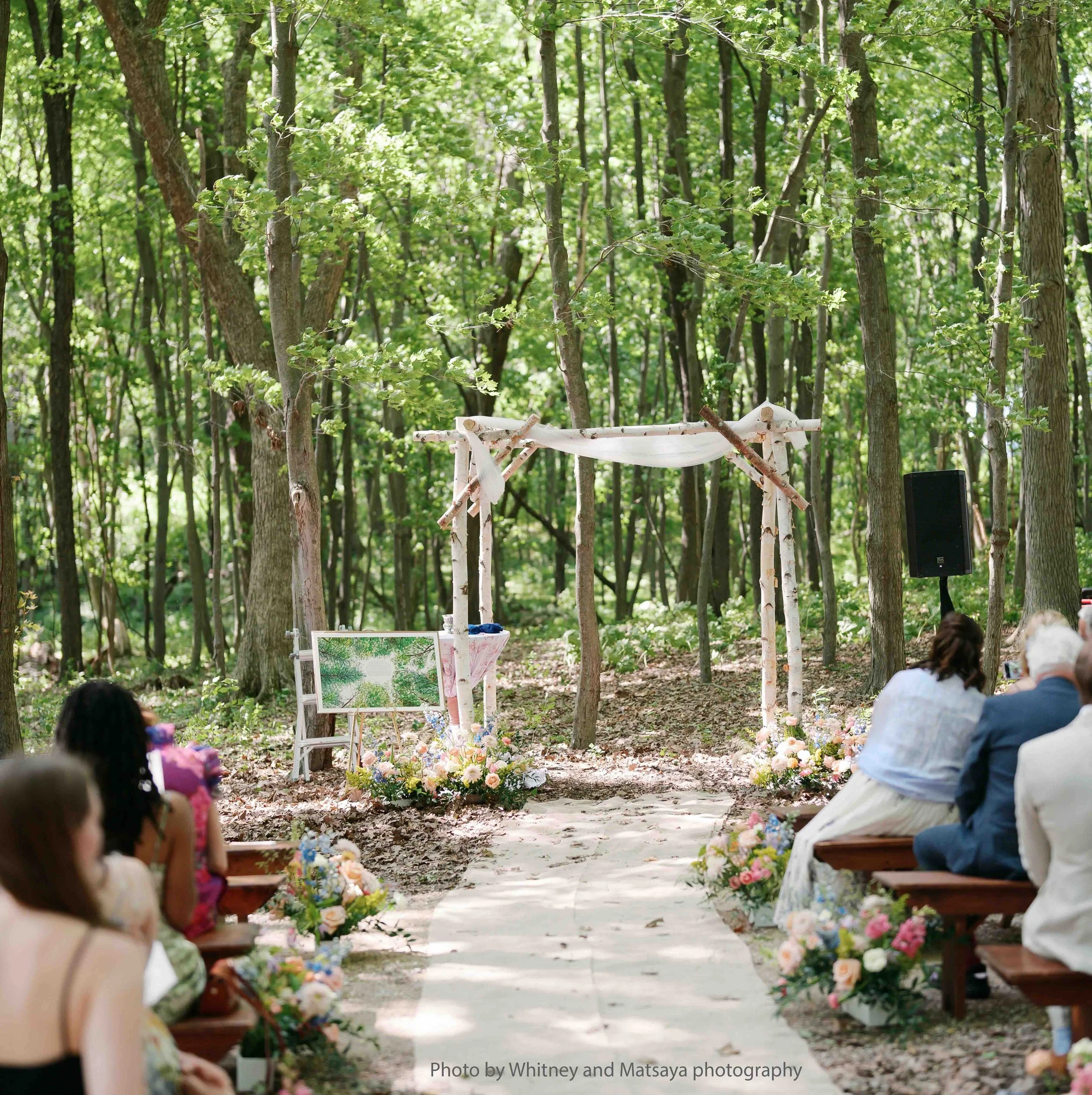 Forest-Canopy-Looking-Up-Ketubah-Windthrow-photo-credit-7.jpeg