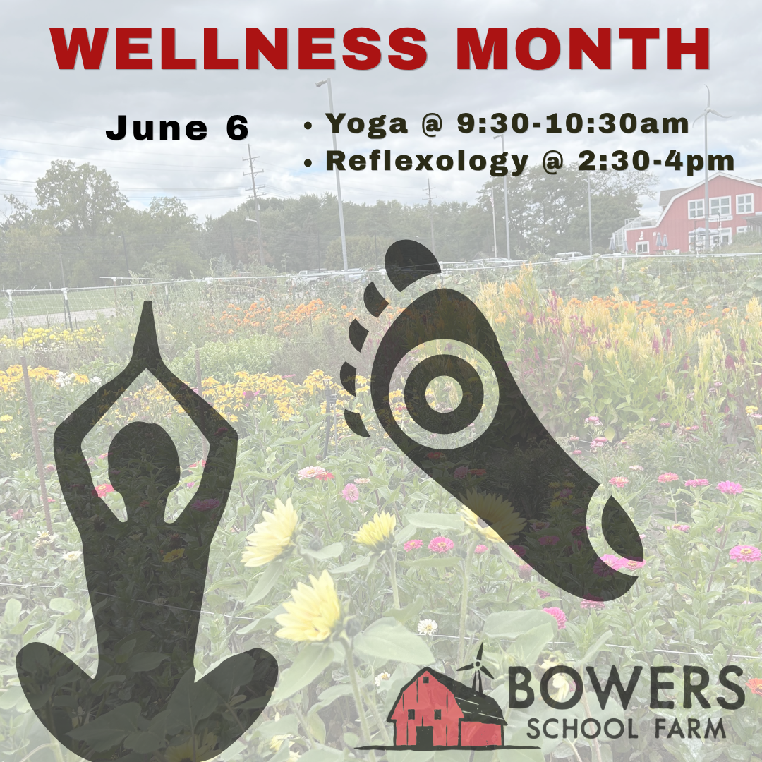 June 6: Free Yoga and Reflexology