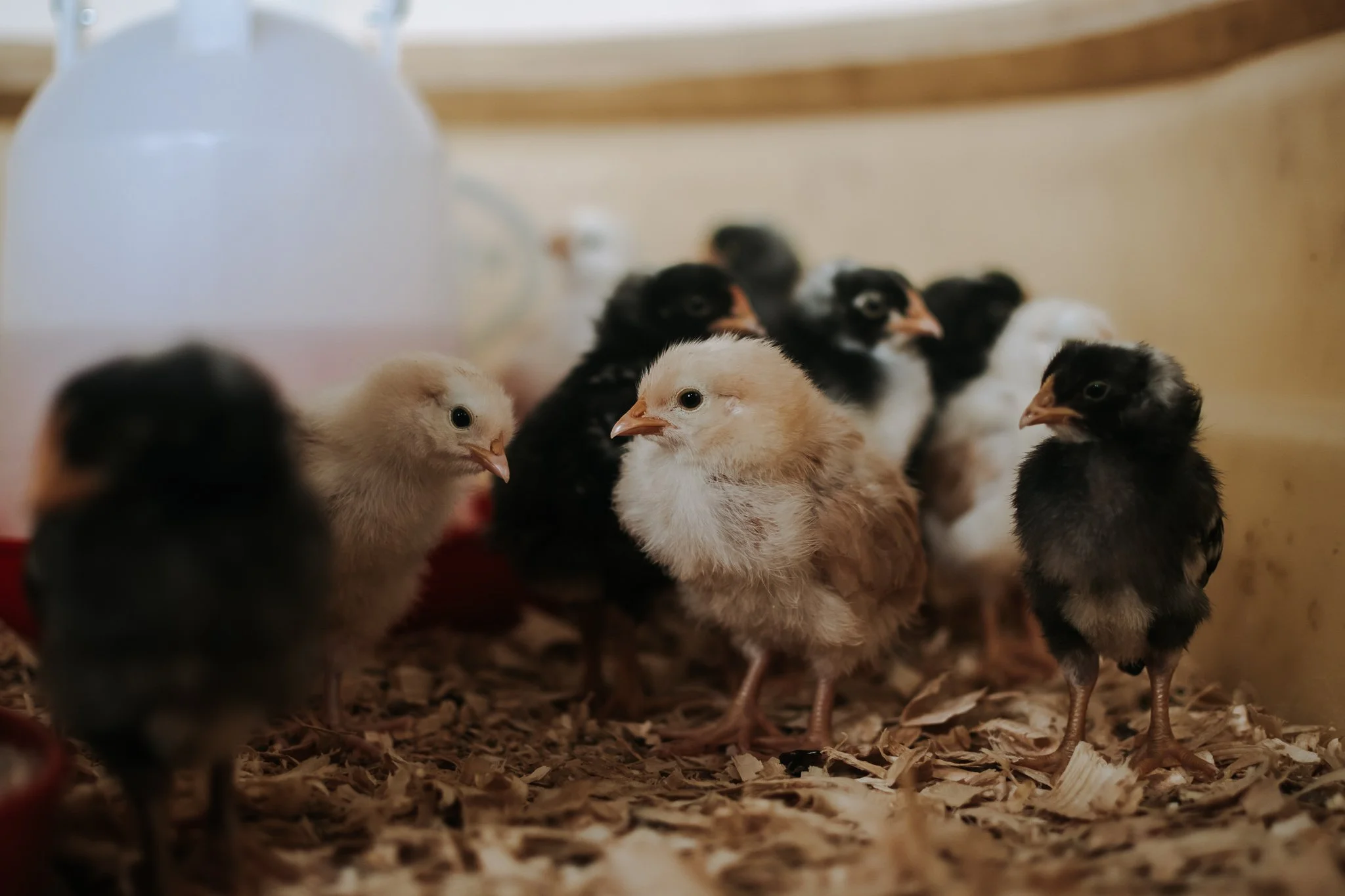 Open Visit — Bowers Farm