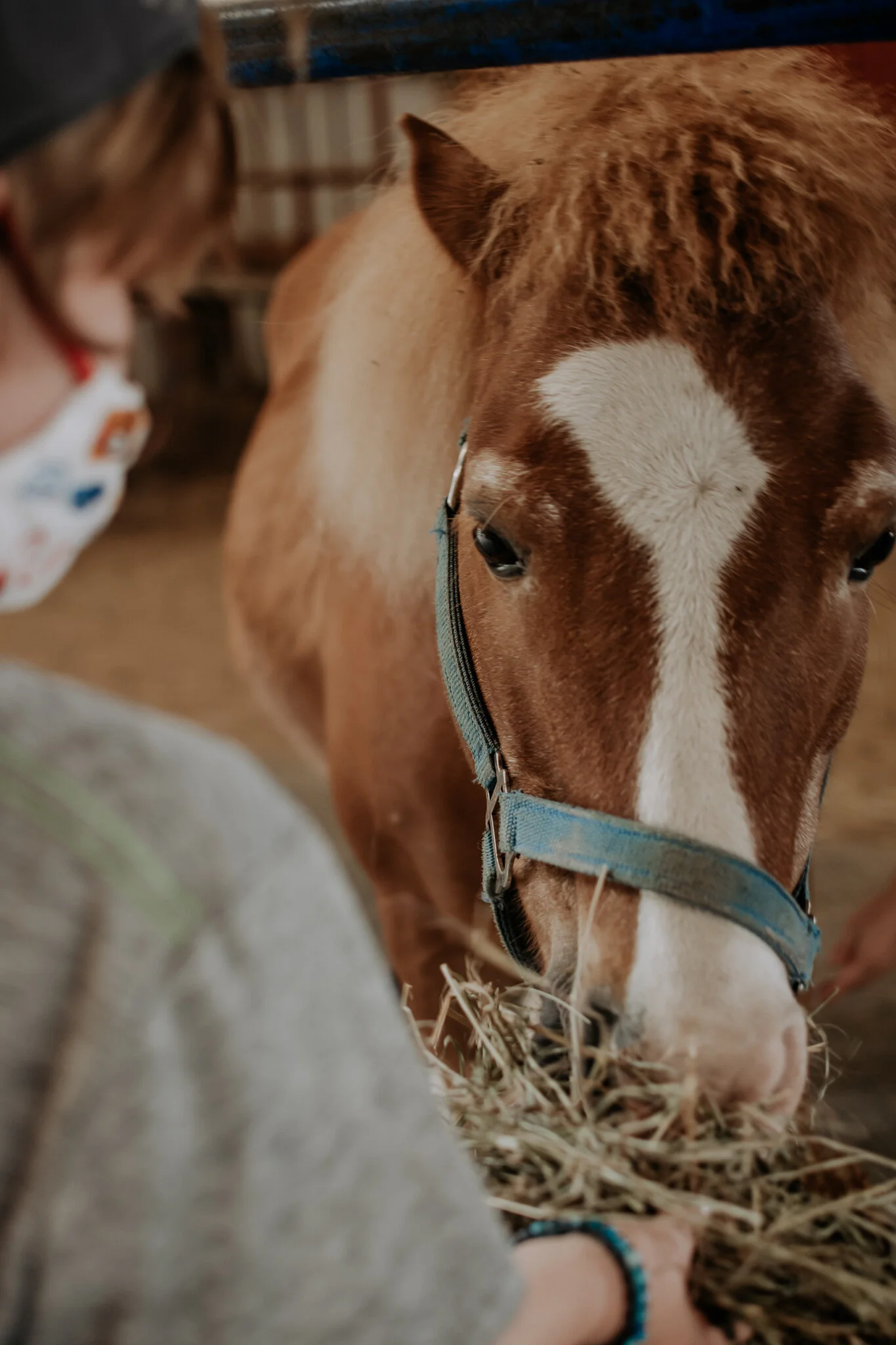 Open Visit — Bowers Farm