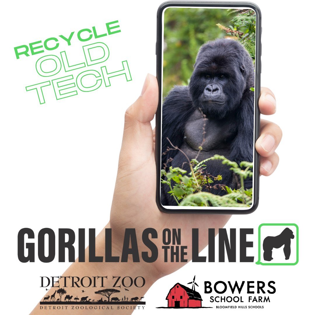 This Earth Day, let's RECYCLE old cell phones!! While we definitely do NOT have gorillas at the farm (nor will we ever), we are helping our friends at The Detroit Zoo on an initiative to support the Gorillas and the people who work on their conservat