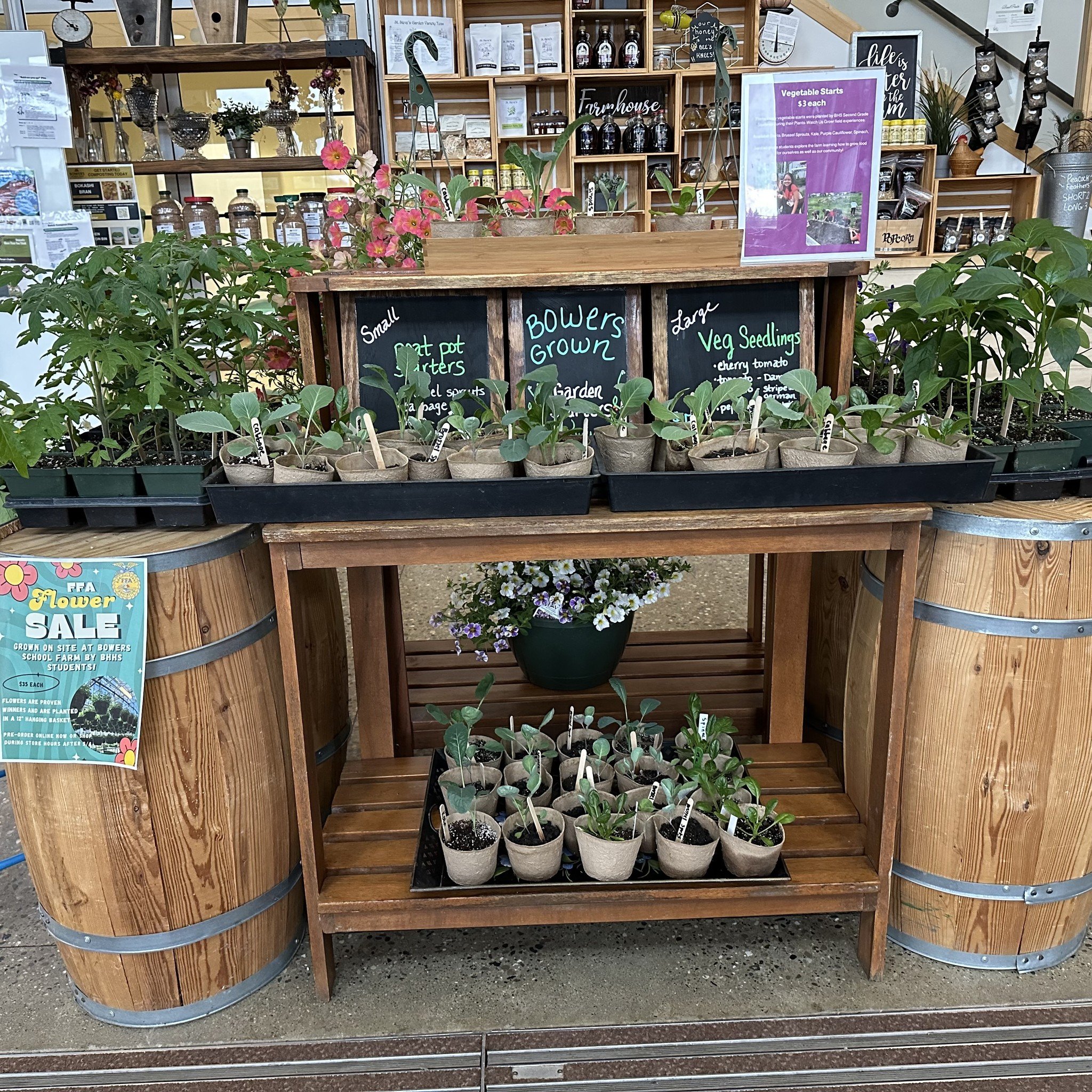Looking for a little something local to celebrate Mothers Day? 
We got you! 
Hanging flower baskets, select organic veg seedlings, honey, teas, soaps, garden &amp; goat skincare items, scratch heirloom sourdough and bakery items, and more. 💕🌼
Barns