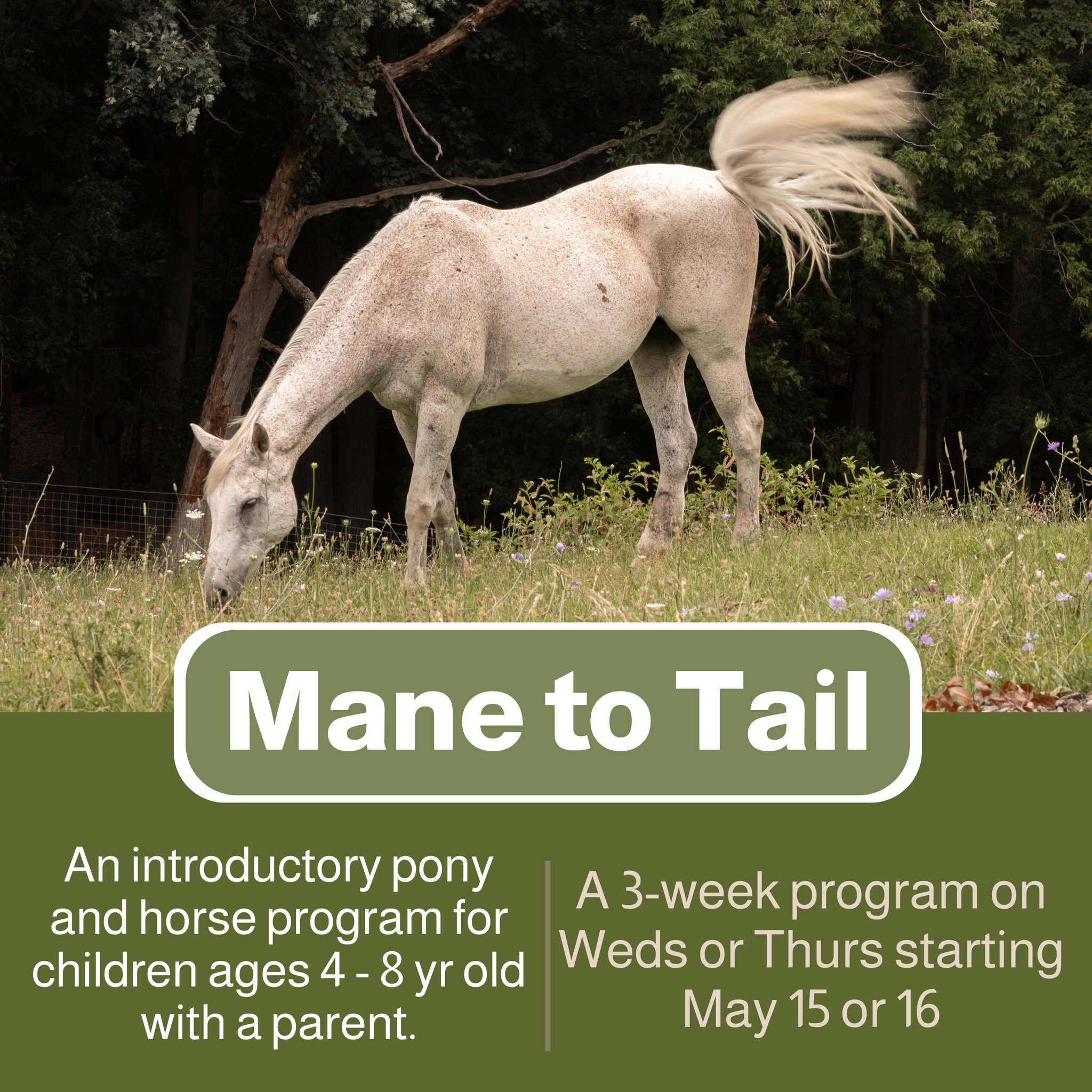 Last chance to register for the Mane to Tail program for kids with a parent starting this week.  This program runs for three weeks with a 1 hour class per week to learn the basics for horses and ponies from handling and grooming, to tacking and ridin
