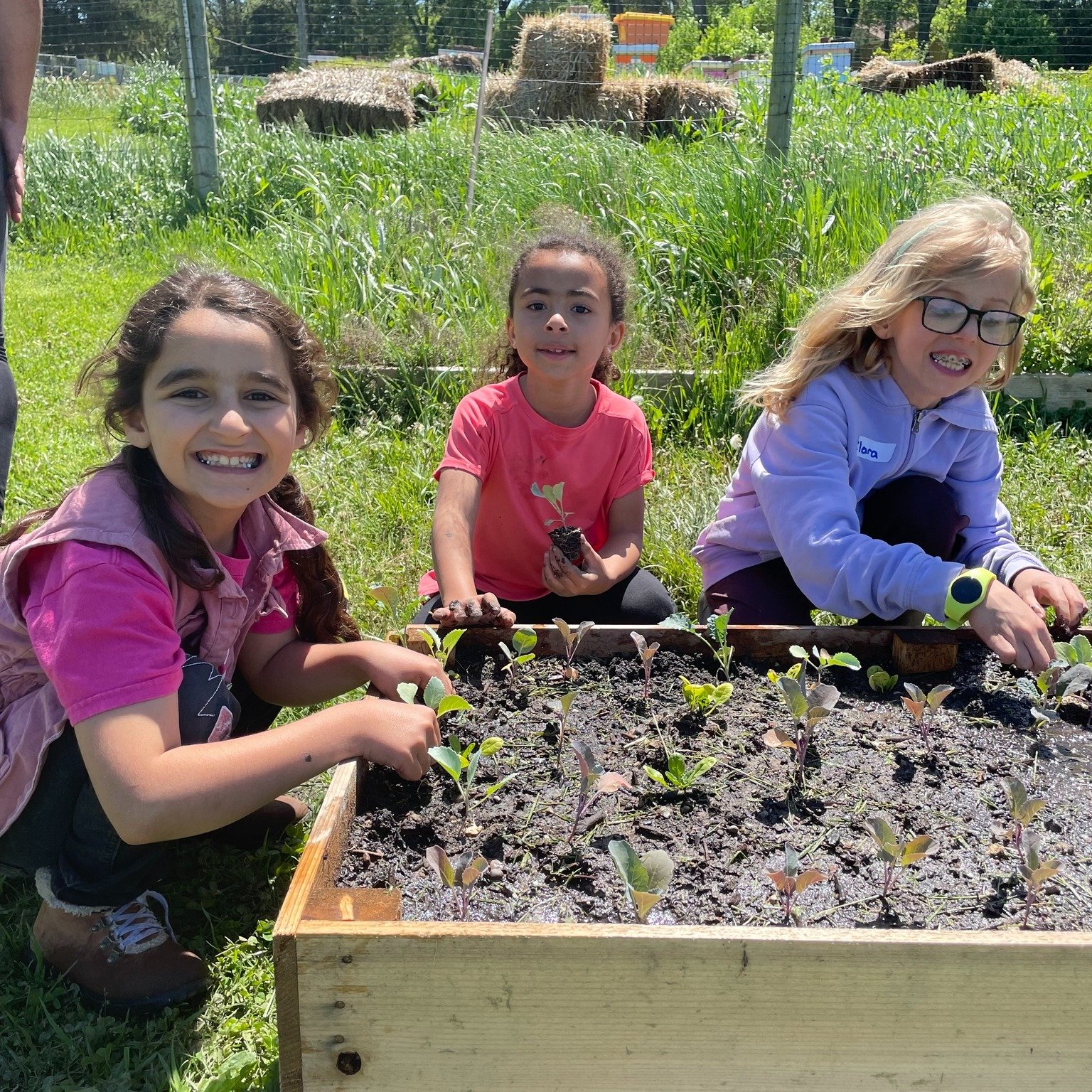 &quot;Bloomfield Hills Schools&rsquo; second-grade students have been studying plants all year long, but lately they have been getting their hands dirty at Bowers Farm during spring field trips, exploring the science behind plants. Plants are the bac