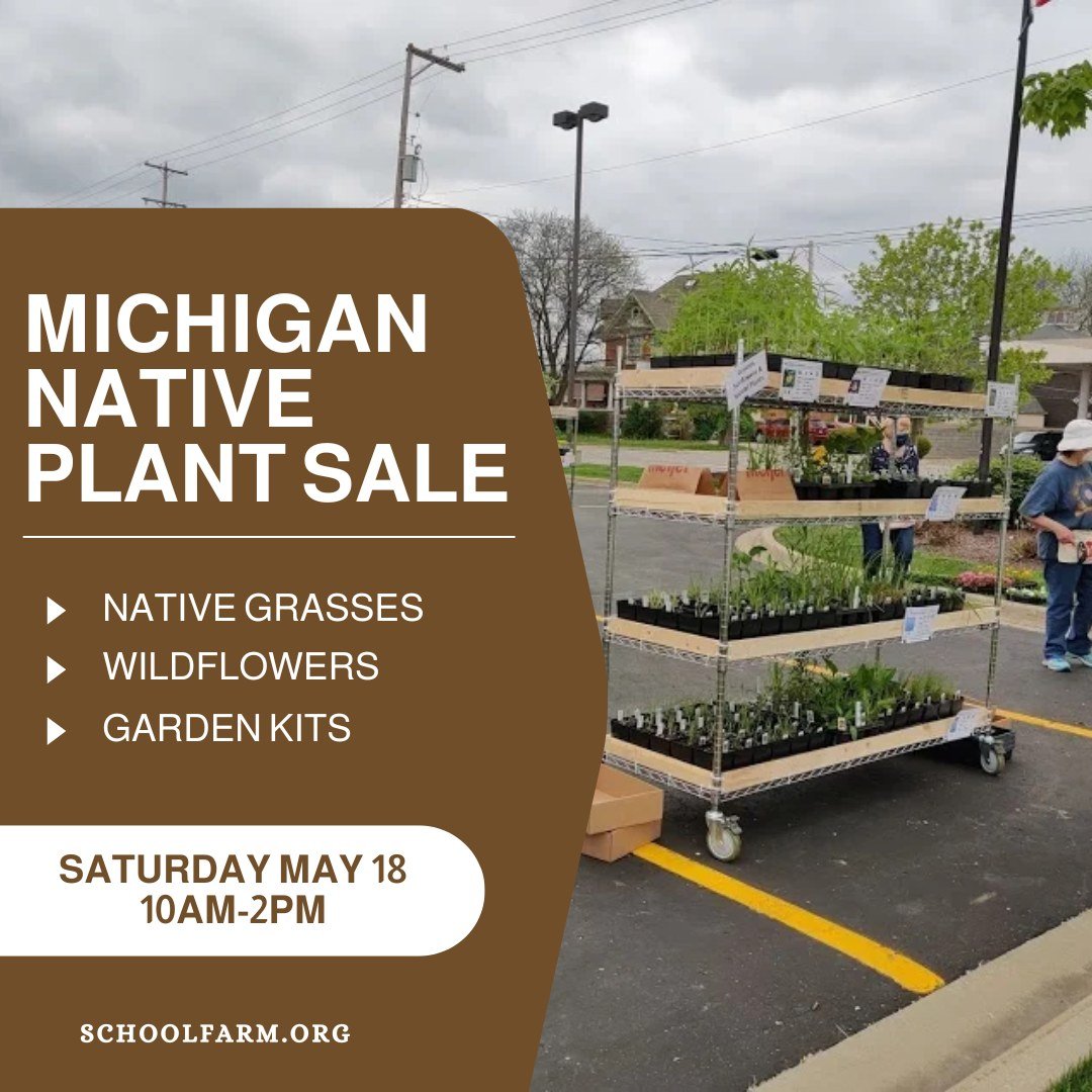 This Saturday we host our 3rd Michigan Native Plant Sale! If you missed the pre-sale, select varieties of native plants will be available for purchase. The sale and the pick up for pre-orders will be available from 10am-2pm in front of our Visitor Ce