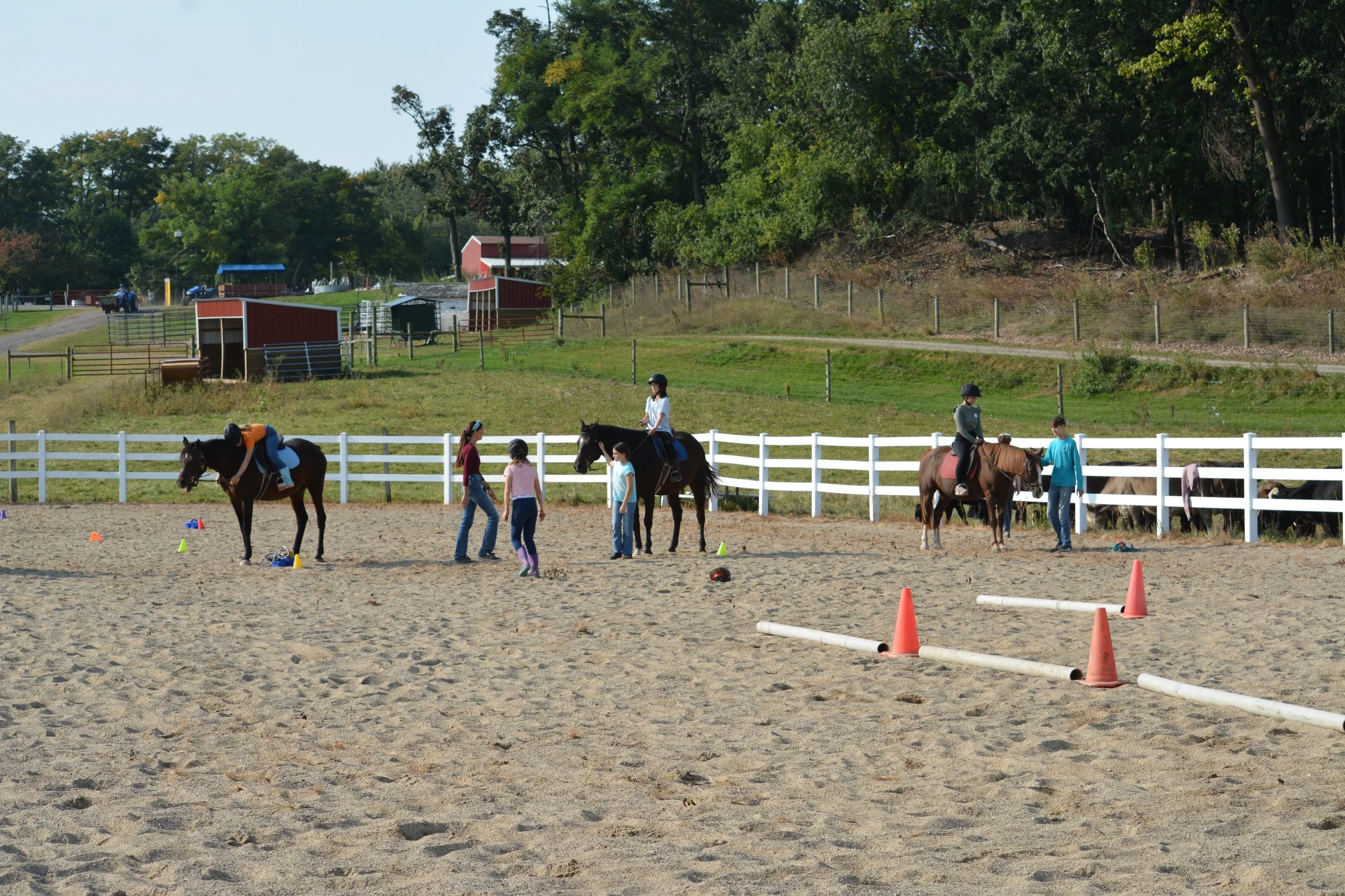 Photos — Bowers Farm