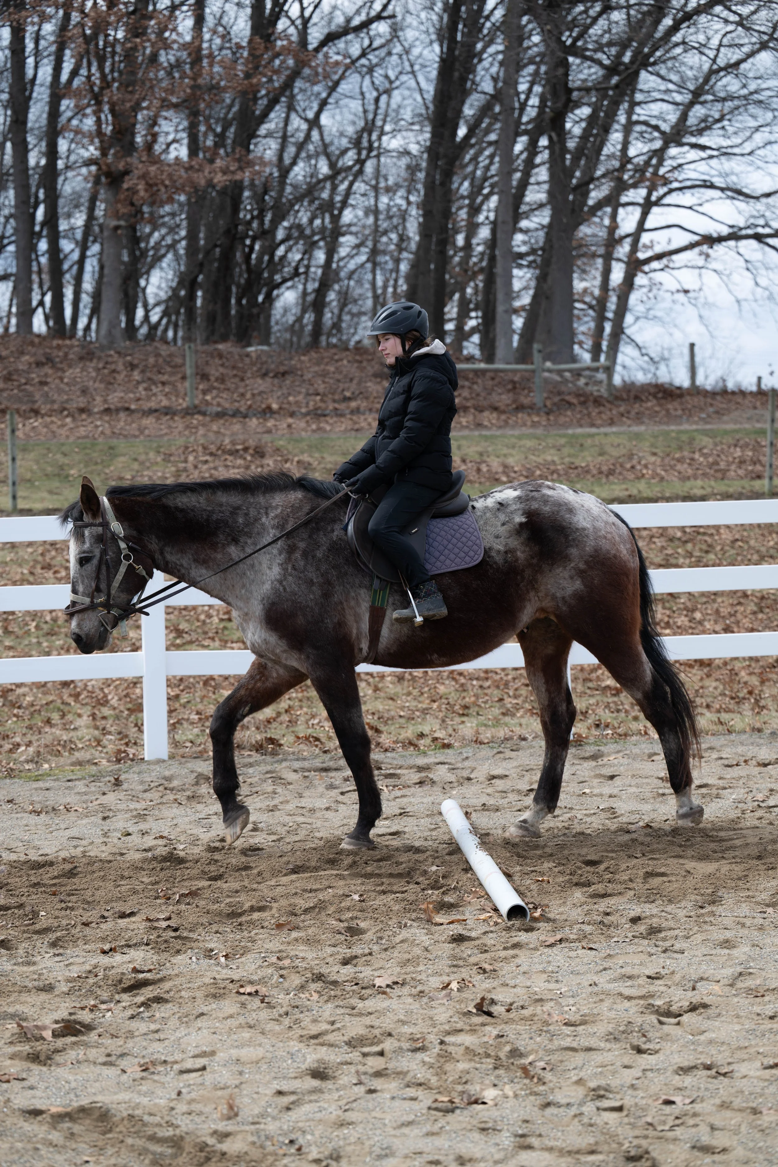 Horse camp-1224.jpg