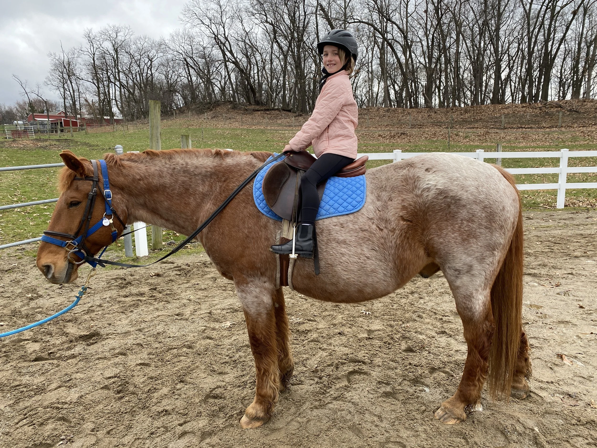 Saddling Up for a New Season at Bowers Riding School! 🐴🌞 — Bowers Farm