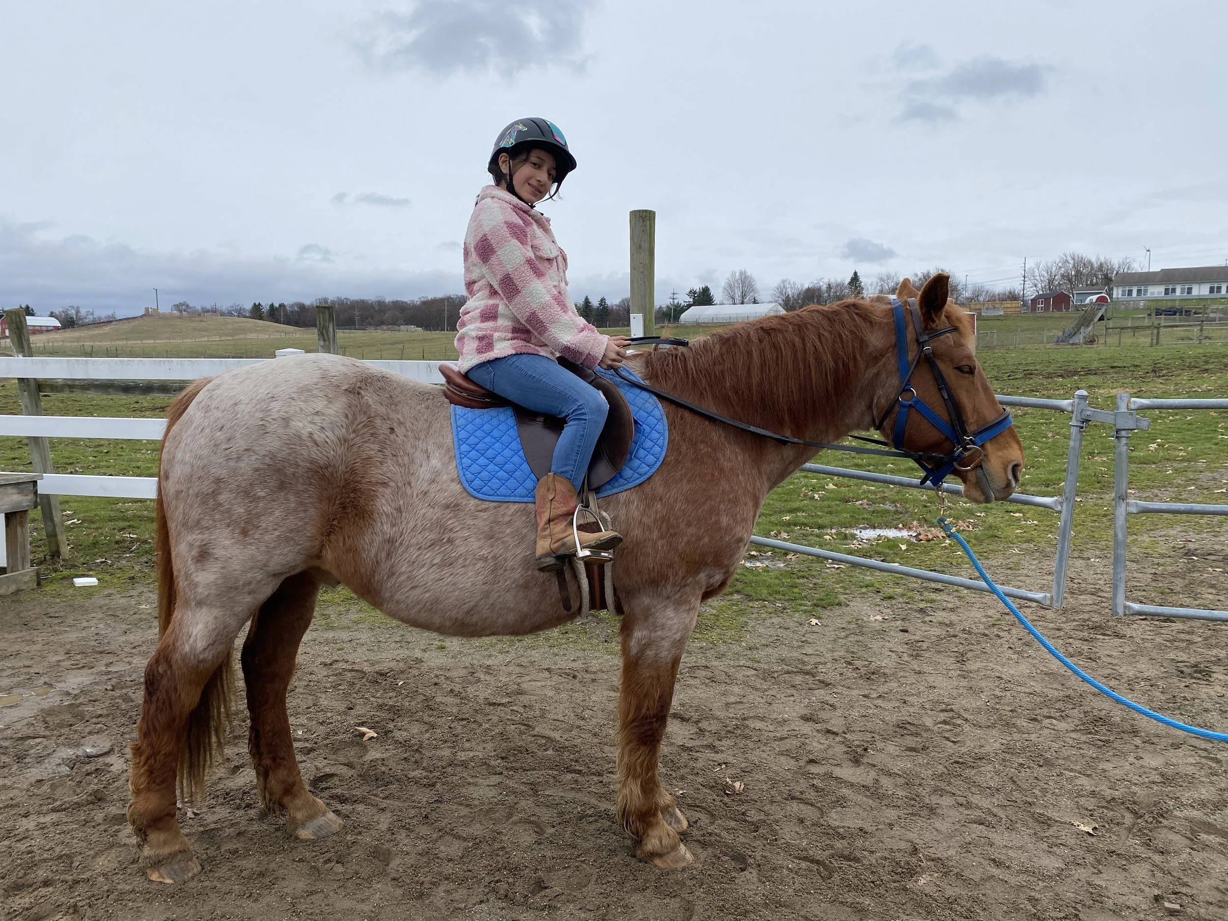 Saddling Up for a New Season at Bowers Riding School! 🐴🌞 — Bowers Farm