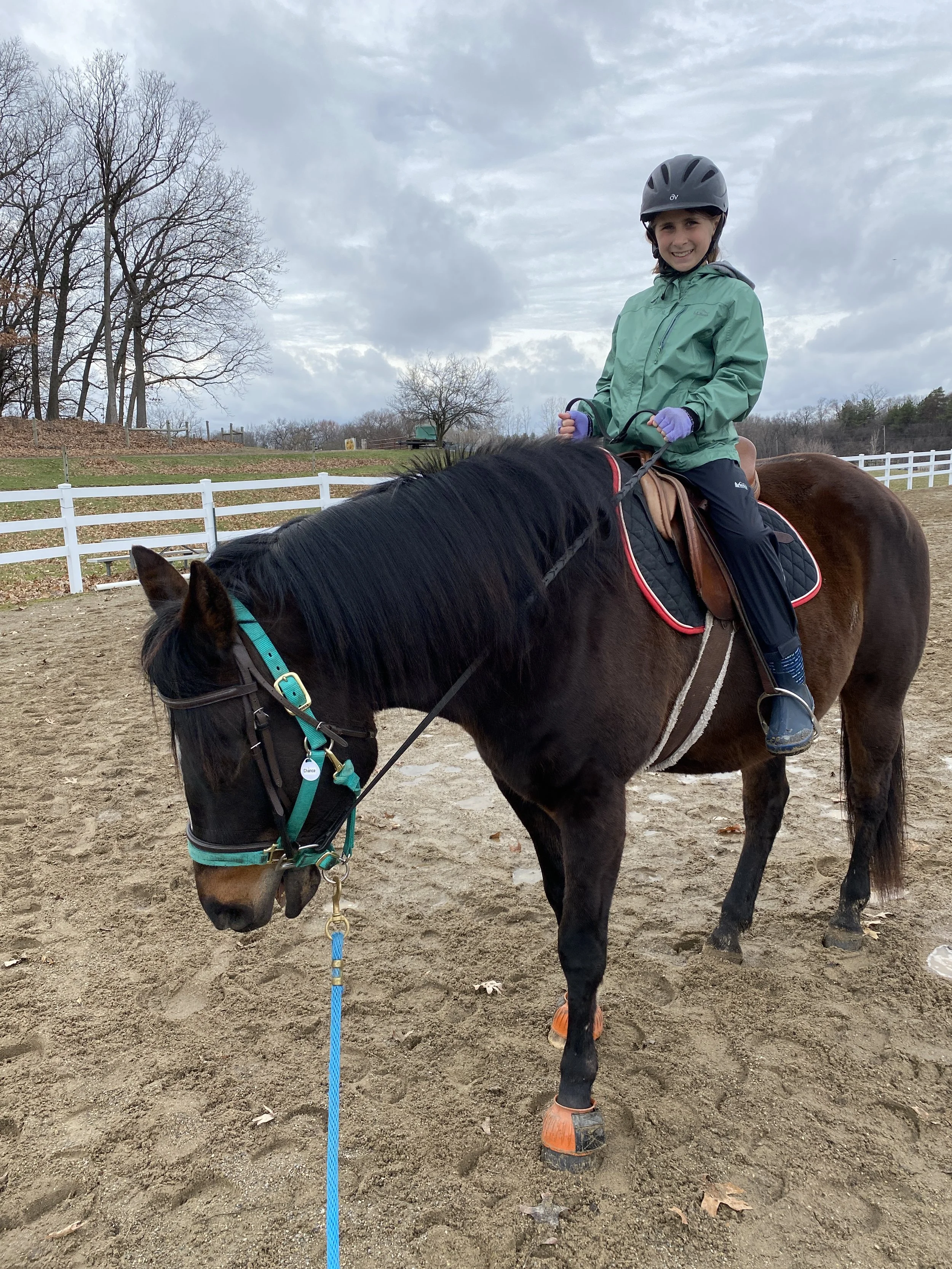 Saddling Up for a New Season at Bowers Riding School! 🐴🌞 — Bowers Farm
