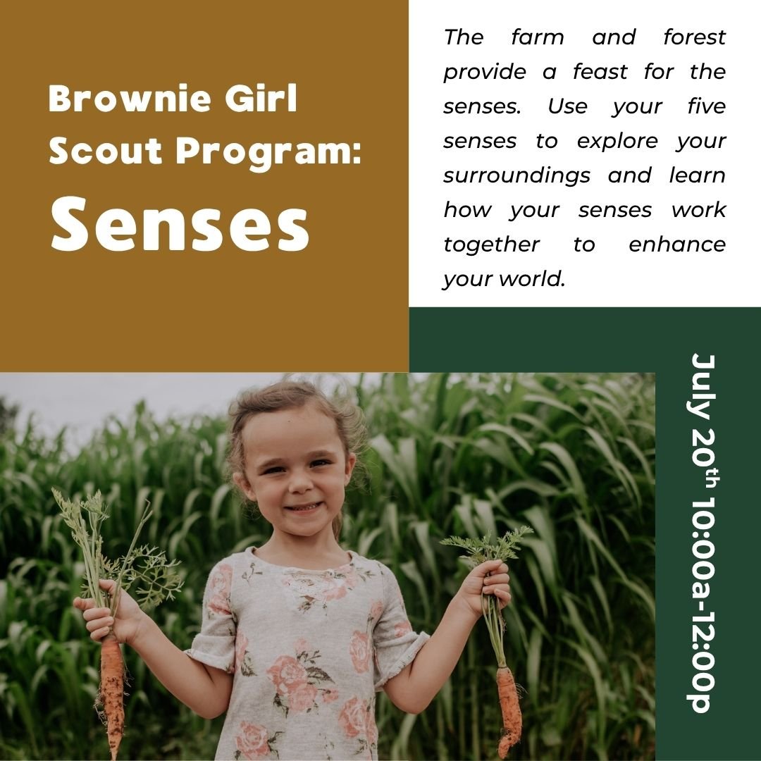We’re thrilled to continue our partnership with the Girl Scouts of Southeastern Michigan to bring a season full of adventure, learning, and discovery!
🍀Daisies will explore the world around them with Shapes in Nature
🌻Brownies will spark th