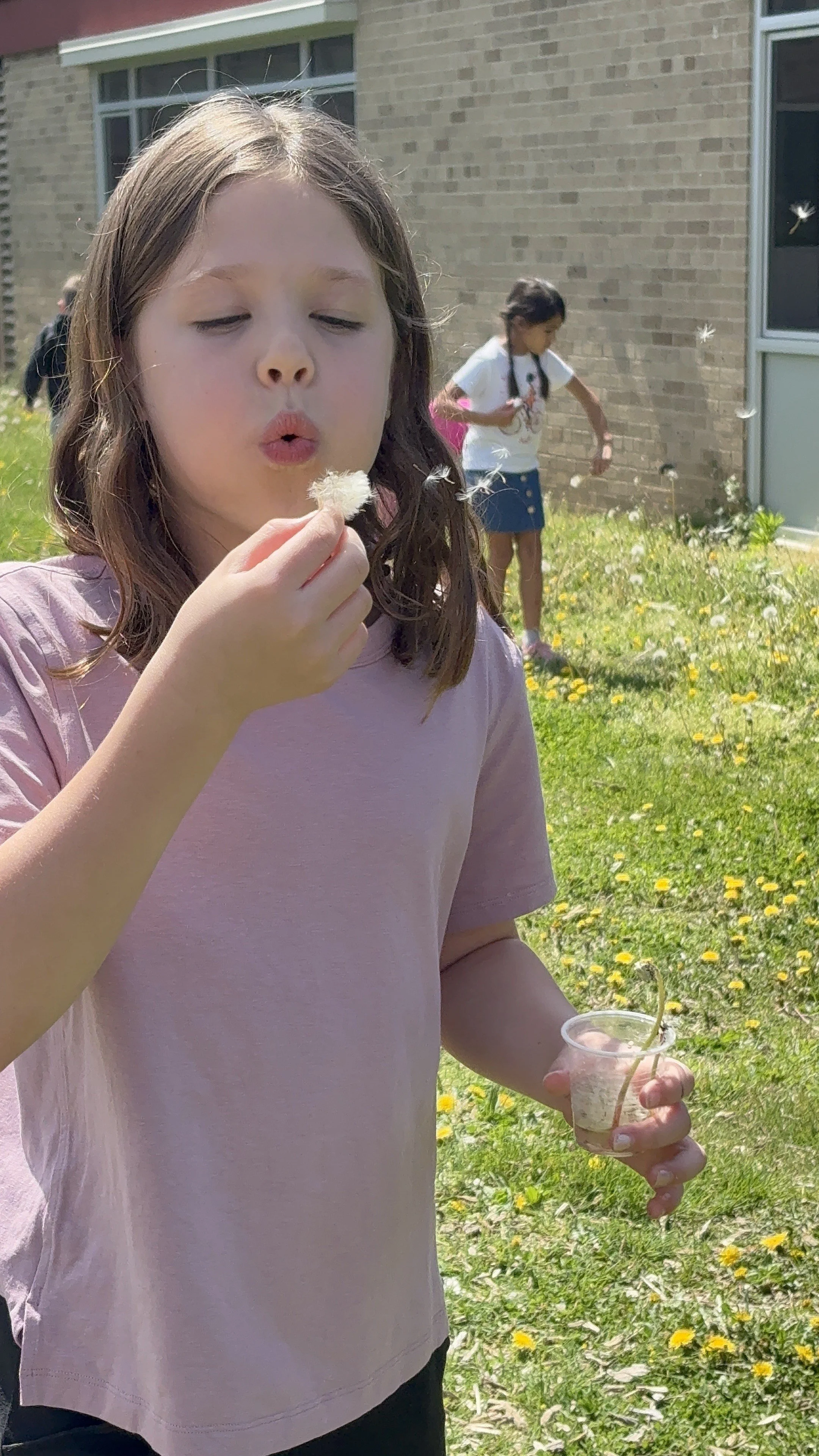 IMG_3500.jpeg
