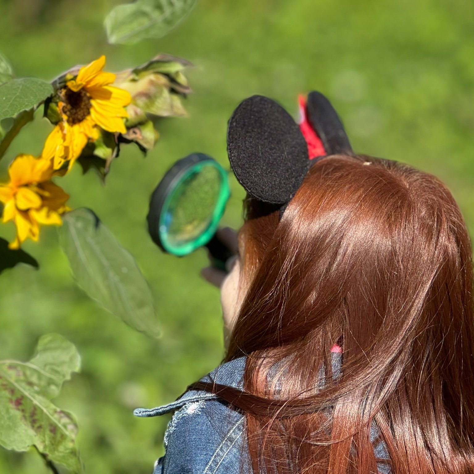 As we wrap up a beautiful season of spring field trips, we’re filled with gratitude for the schools, students, and teachers who came out to learn, grow, and explore with us on the farm. Each visit was a reminder that learning doesn't just happe