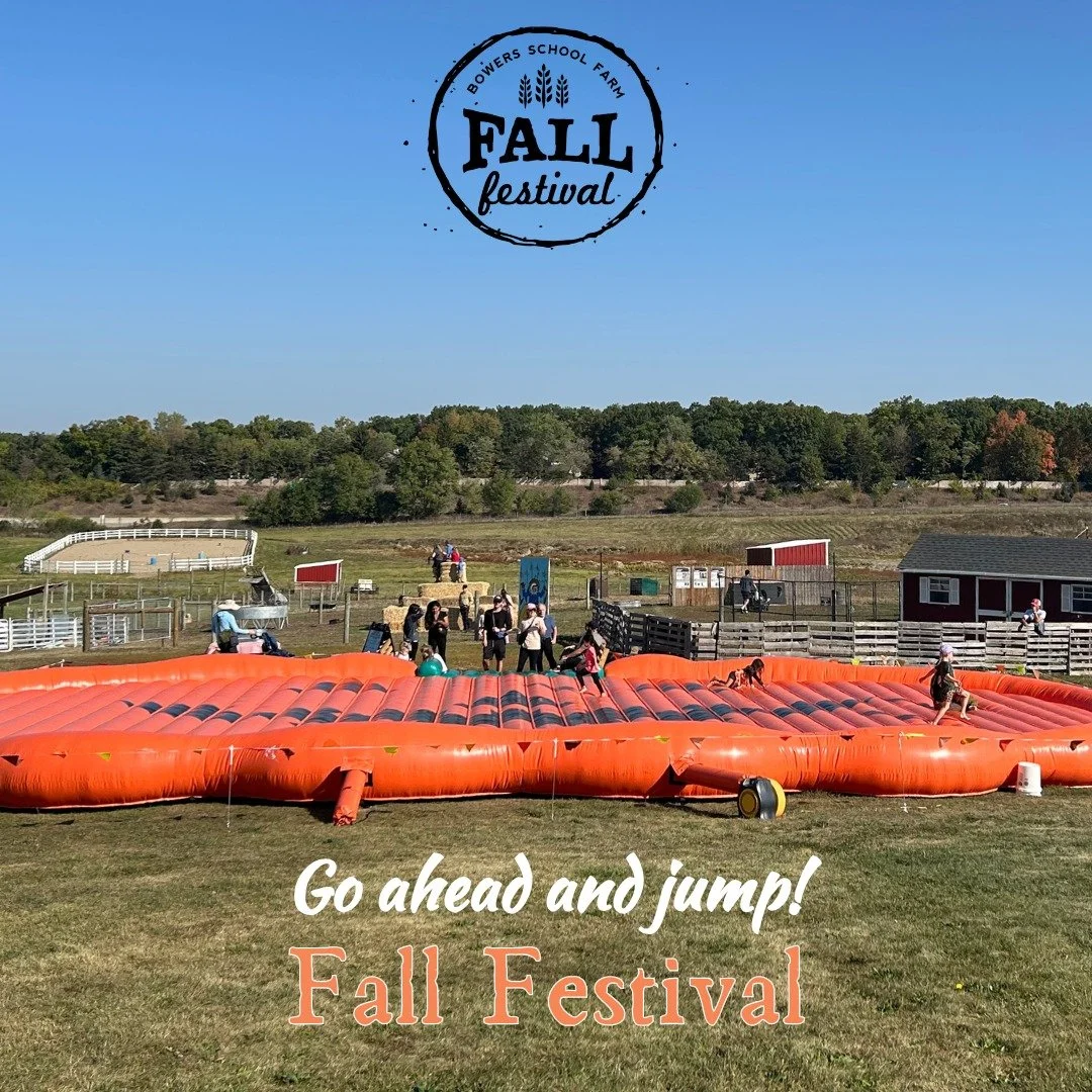 🎃 Bounce into fall fun! 🍂

Our GIANT Pumpkin Jump Pad is a must-try at Fall Festival &mdash; perfect for kids (and kids at heart)! 🧡 Come jump, laugh, and make some unforgettable autumn memories!

Fridays 5&ndash;10pm |  Saturdays 10am&ndash;4pm
N