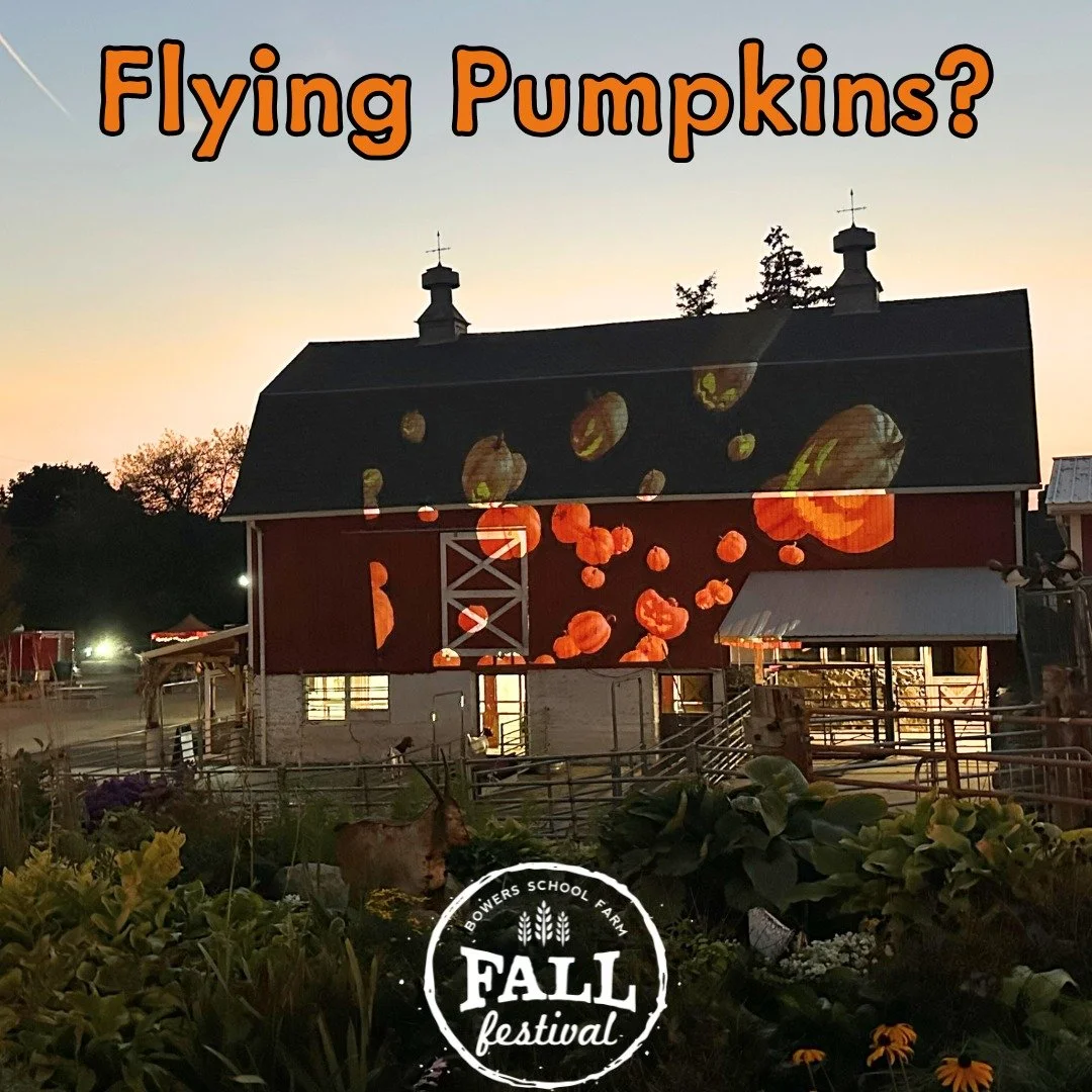 🎃🍂 Join us for fun-filled weekends celebrating the best of Michigan&rsquo;s fall season at Bowers Farm! From corn maze adventure and wagon rides to live music, there's something for everyone.  Get lost in the fun&mdash;literally!

Enjoy:
🐐 Animal 