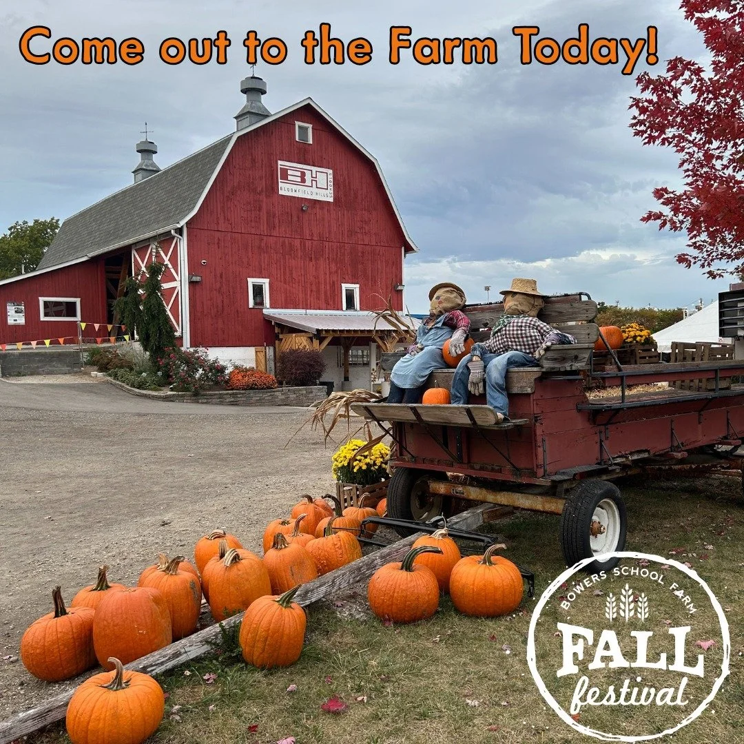 🌾🎃 Fall Festival Fun Is Rolling On! 🎃🌾
Hop on a wagon ride down on the farm and soak in the autumn magic! From colorful leaves to corn maze and barnyard adventures &mdash; it's everything you love about fall in one place.

🍁 Join us Fridays &amp