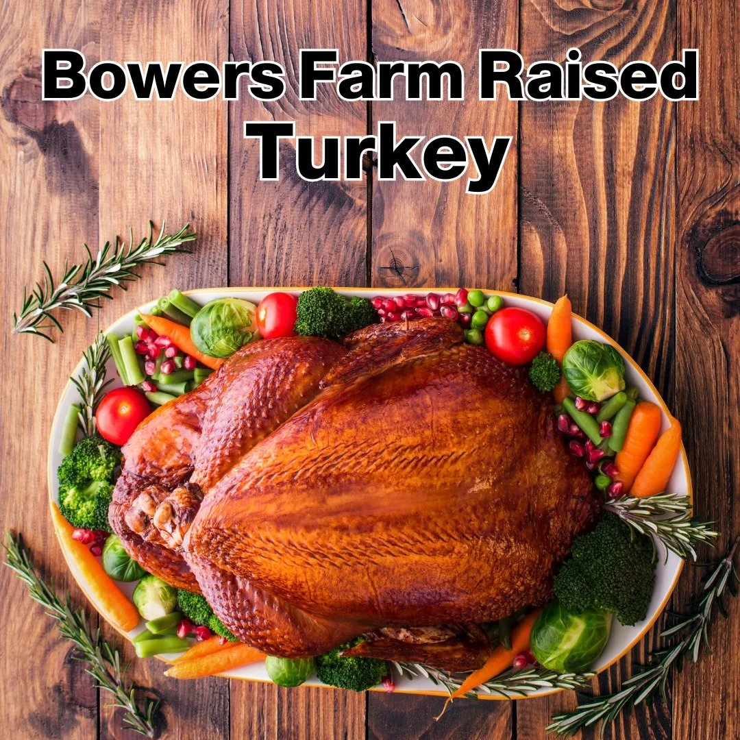 Pre-Order your Pasture Raised Turkey TODAY!  The holidays are just around the corner, and we are excited to open up presale for pasture raised turkeys.  We have a limited number available, so order soon.  Your fresh, processed turkeys can be picked u