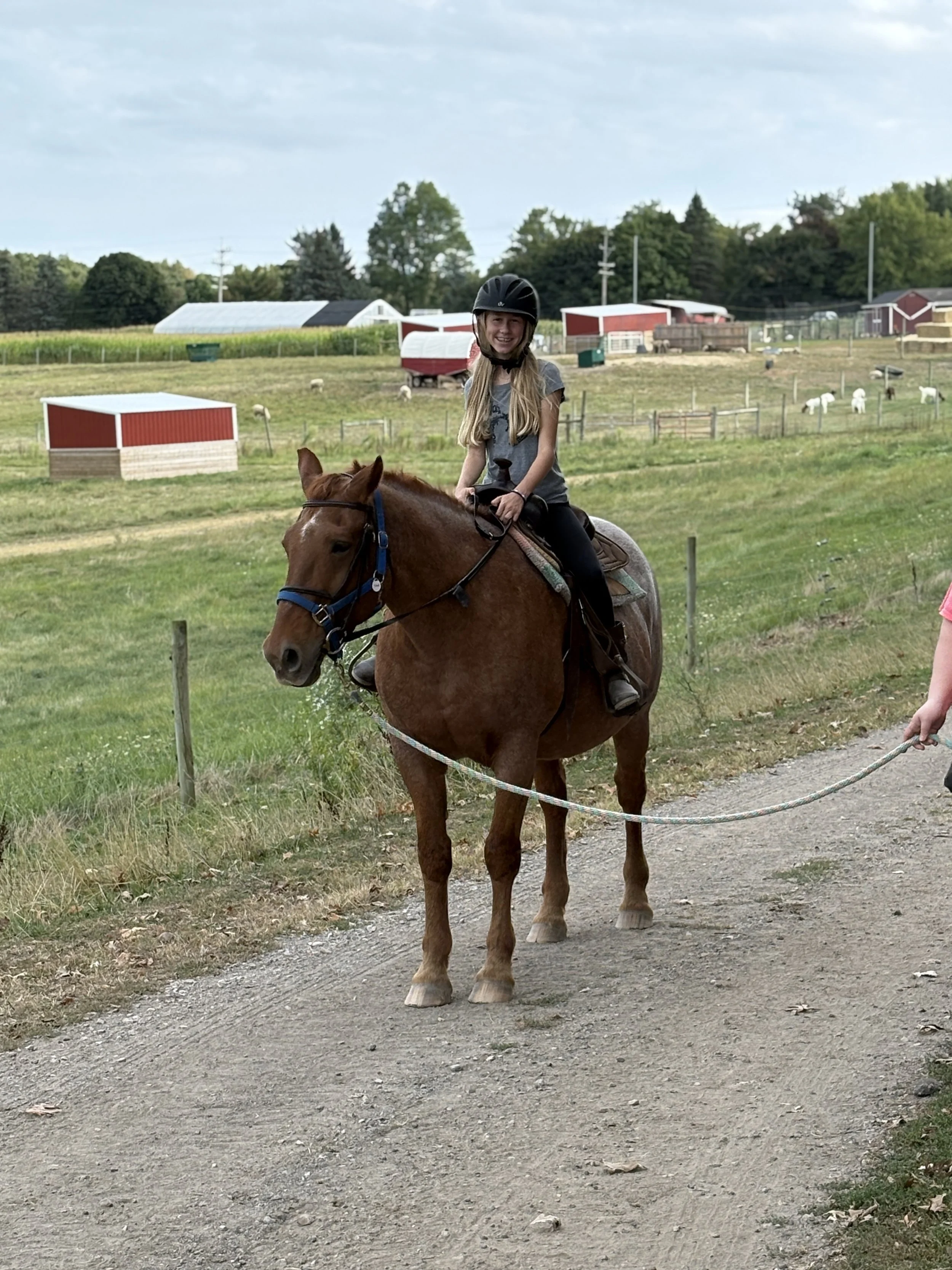 IMG_1286.jpg
