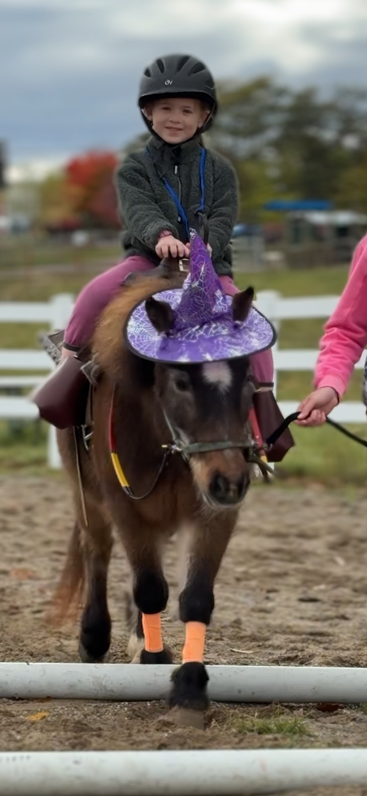 🐴 Pony School Adventures     with Ms. Lou 