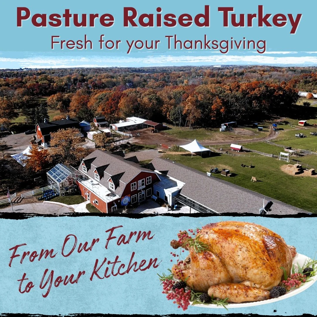 🦃 Fresh, Local, Pasture-Raised Turkeys Are Here!

From our farm to your kitchen, we&rsquo;re offering a limited number of locally raised Orlopp Broad Breasted Bronze turkeys&mdash;the iconic Thanksgiving bird known for its high-quality flavor and ge