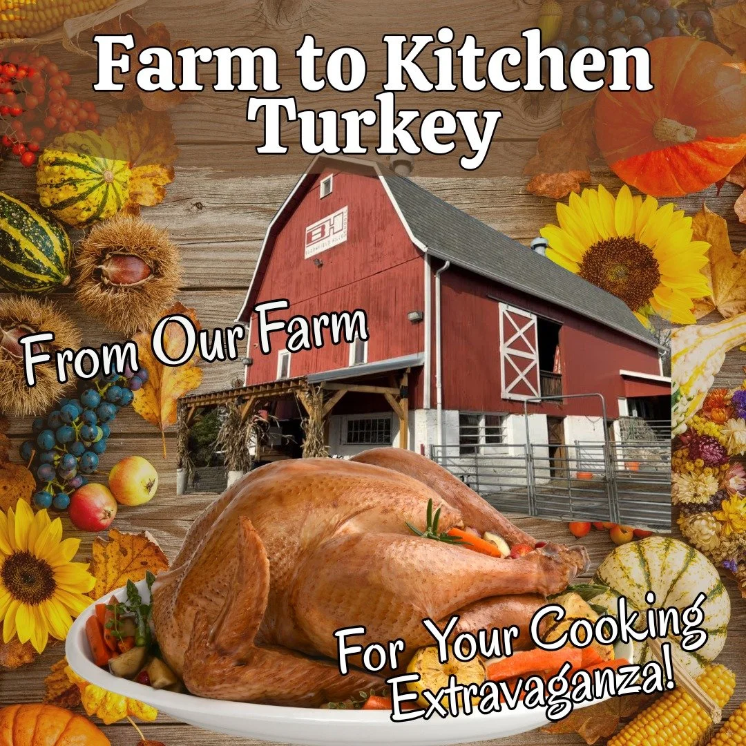 🦃✨ Thanksgiving made delicious!
Reserve your fresh, small-farm, pasture-raised turkey and cook it your way this holiday.

📅 Order by Nov. 21
📦 Pickup on Nov. 24 &mdash; perfectly timed for Thanksgiving!

Taste the difference of a truly fresh bird.