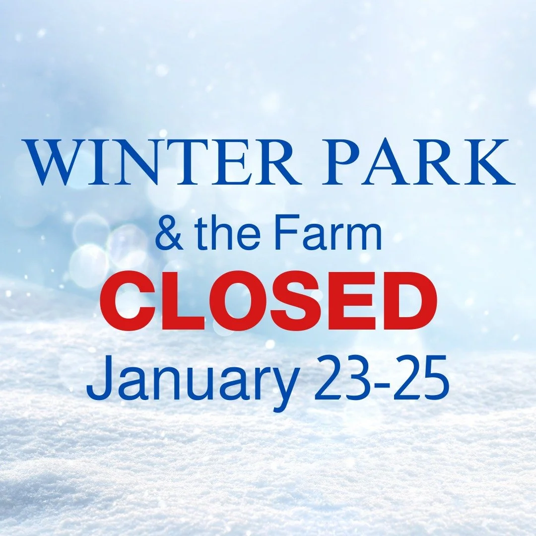 We are CLOSED this weekend, January 23-25, for Winter Park and barn visits due to extreme weather aligned with Bloomfield Hills Schools closure.  Ticket holders will receive an email tomorrow with information.  Email us at bowersfarm@bloomfield.org i