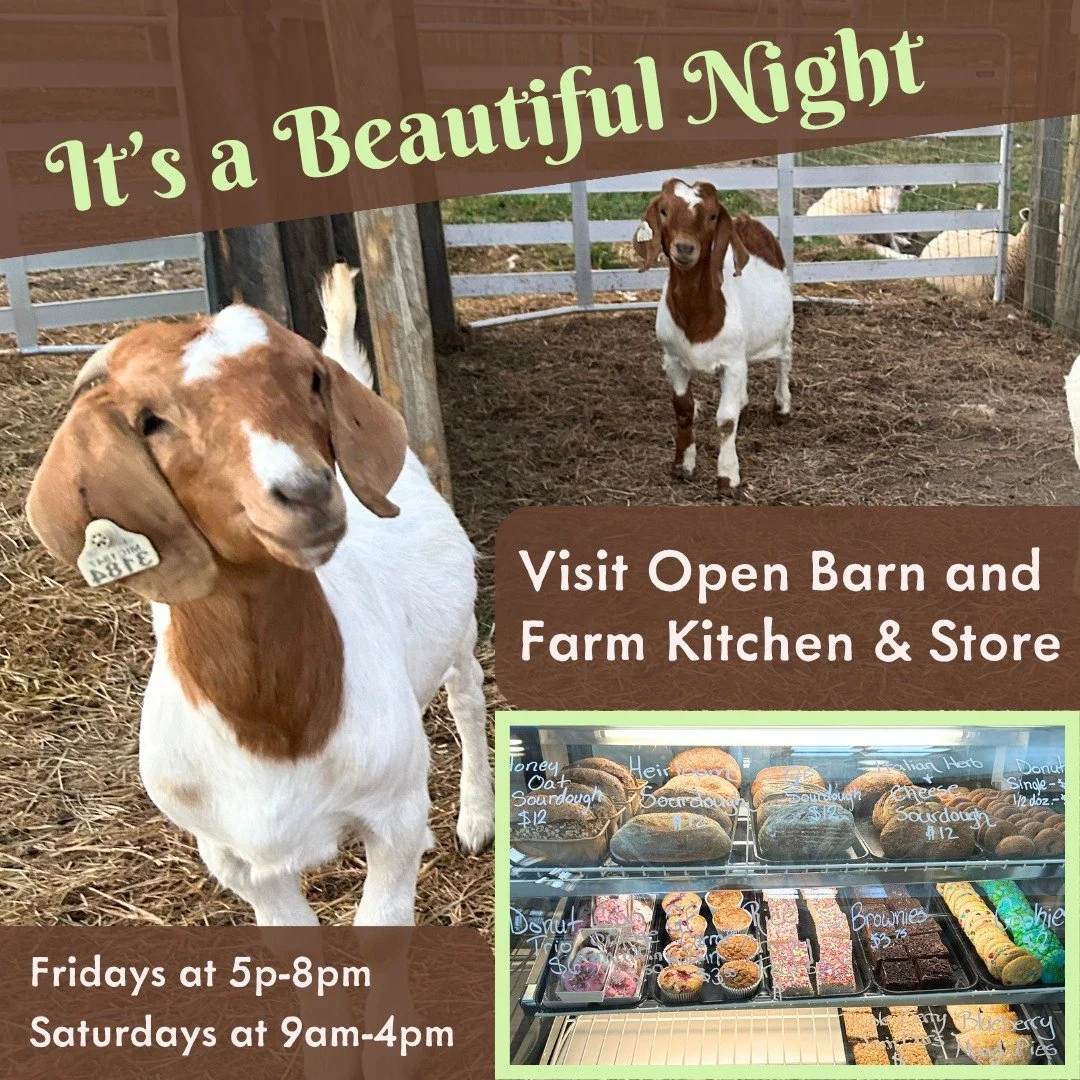 Join us tonight for a fun evening on the farm - we&rsquo;re open and ready to welcome you!

Can&rsquo;t make it tonight? No worries, we&rsquo;ll be open again tomorrow for another great chance to visit the animals and enjoy delicious, farm-made food 
