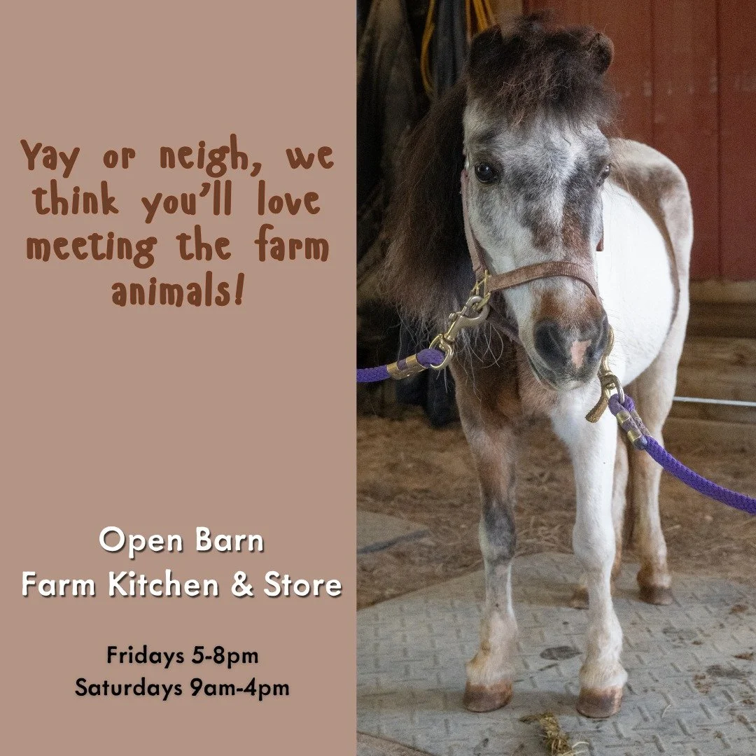 Yay or neigh&hellip; are you coming to Open Barn? 

Join us for a fun, laid-back day on the farm where the real stars are the animals! Come meet your farm &ldquo;neigh-bors,&rdquo; spend time up close with our farm animals, and enjoy a simple, hands-