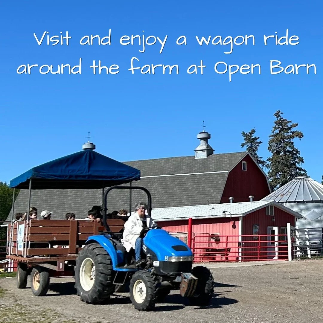 Open Barn has wagon rides to enjoy the open fields, along with younger and older chicks and ducks.  Fridays 5-8p, Saturdays 9am-4pm.