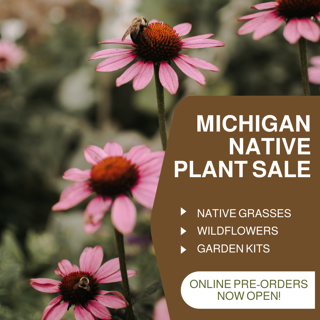 May 1 Pre-Orders Due: Native Plant Sale