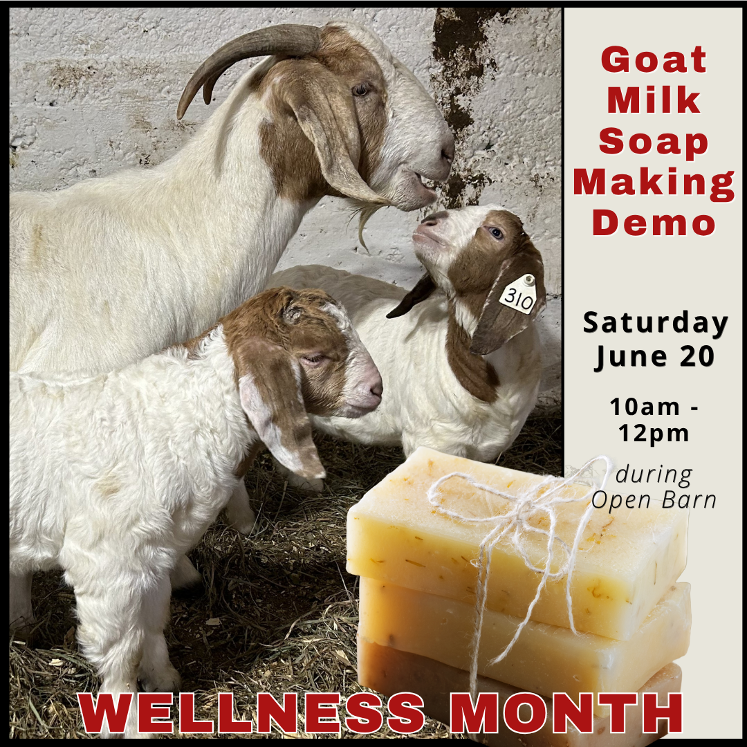 May 21+ socials Open Barn 2026 (15).png
