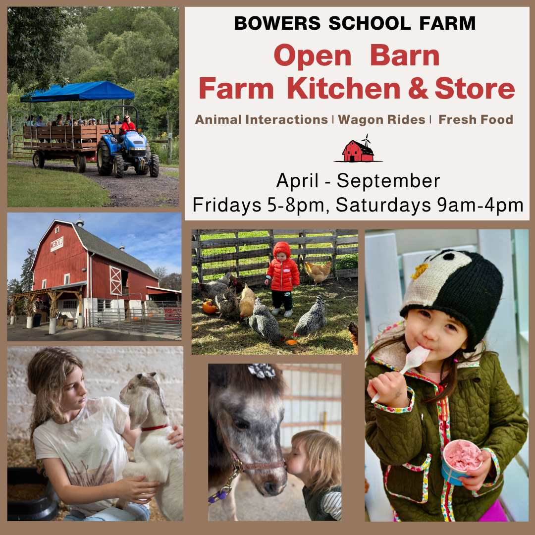 April-Sept: Fridays & Saturdays: Open Barn, Farm Kitchen & Store
