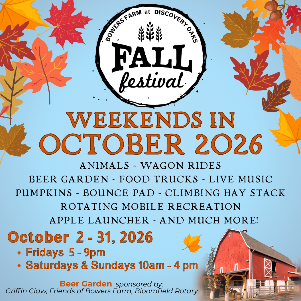 Fall Festival flyer 2025 square (13).png
