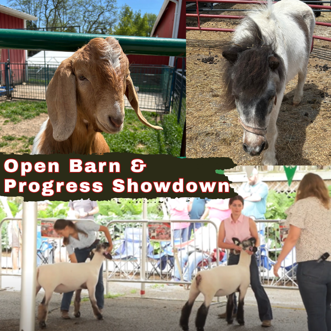 Open Barn socials  2026 (1).png