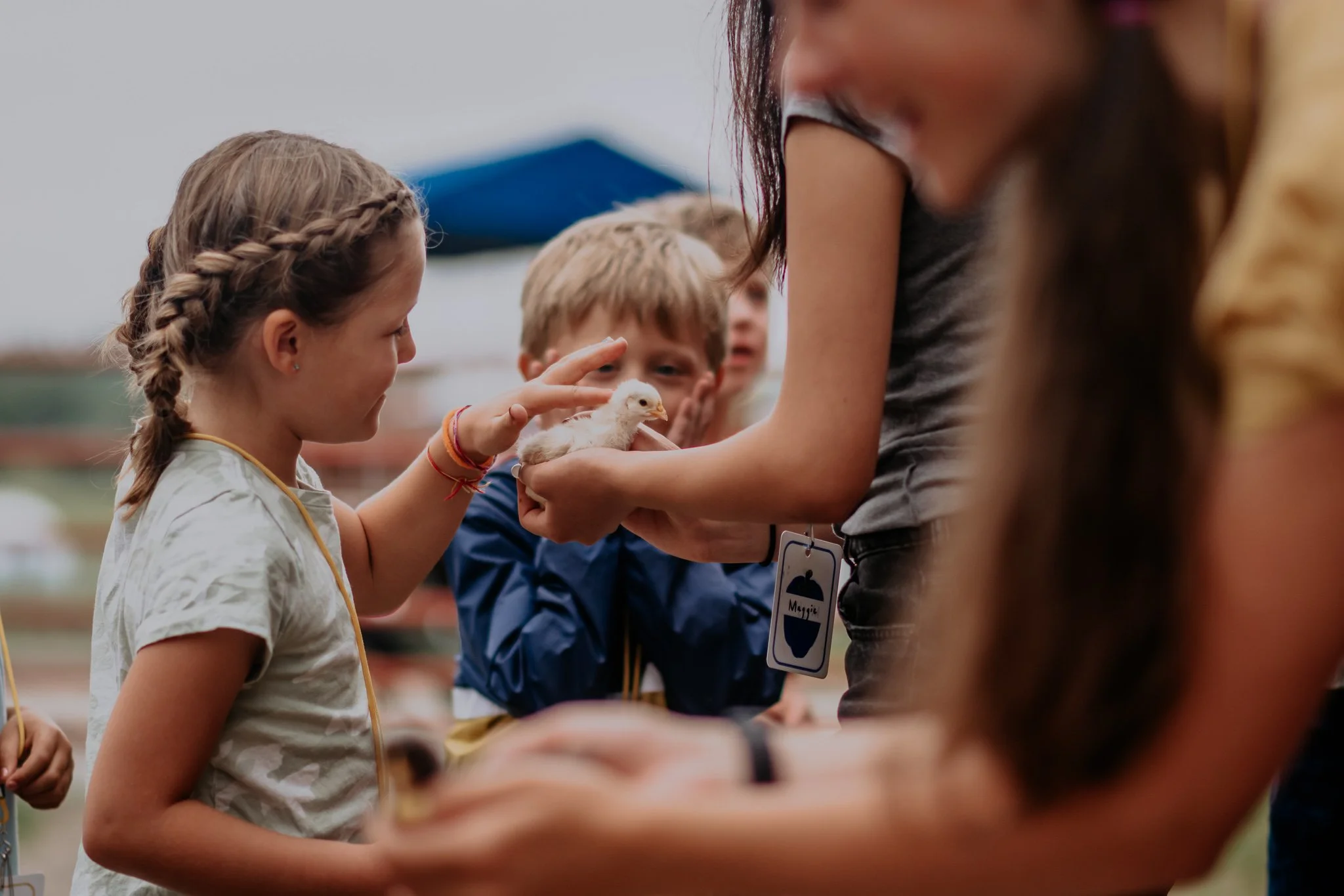 When Springtime Comes: A Fun Spring Story for Kids