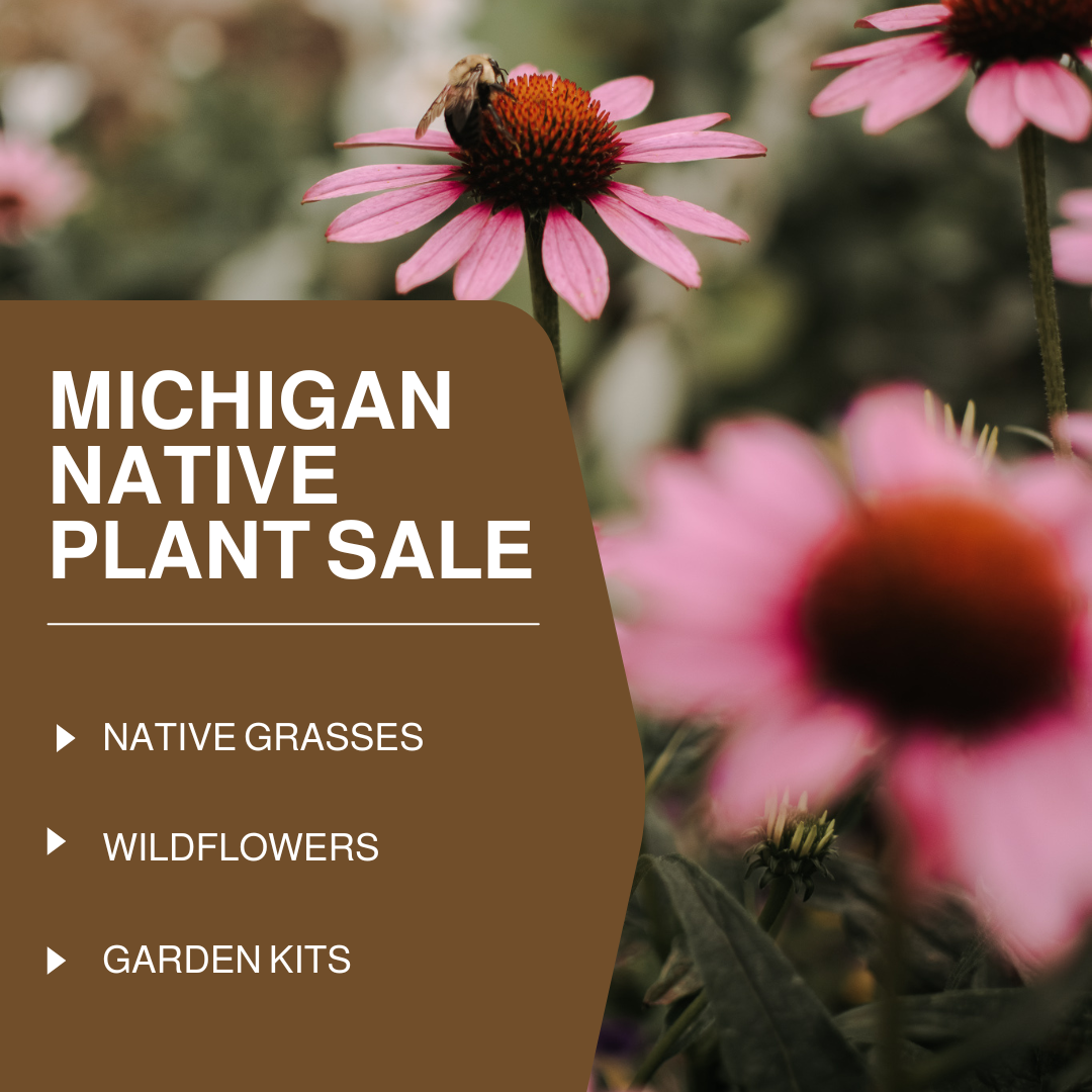 June 6: Native Plants Sale & Pick Up